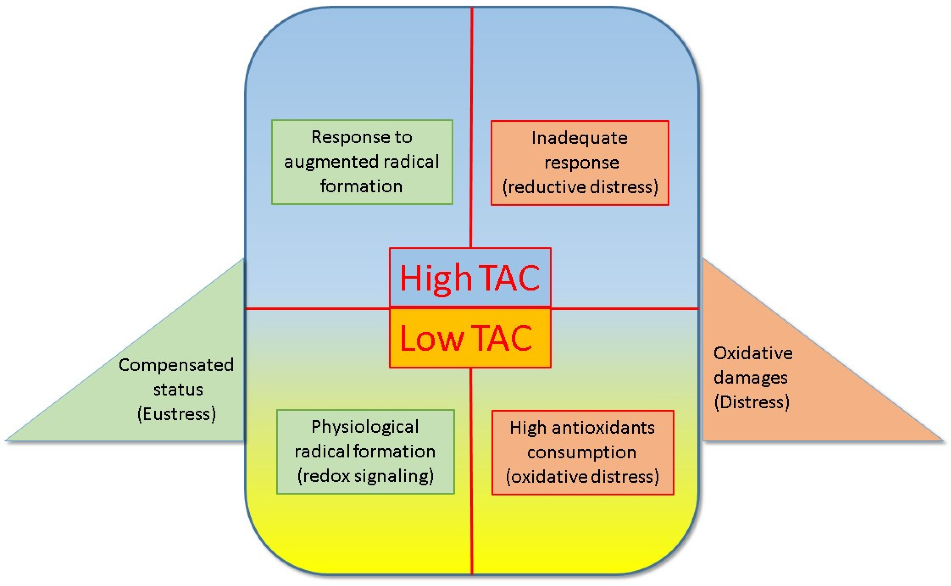 Antioxidants 13 00933 g002 Antioxidants 13 00933 g002