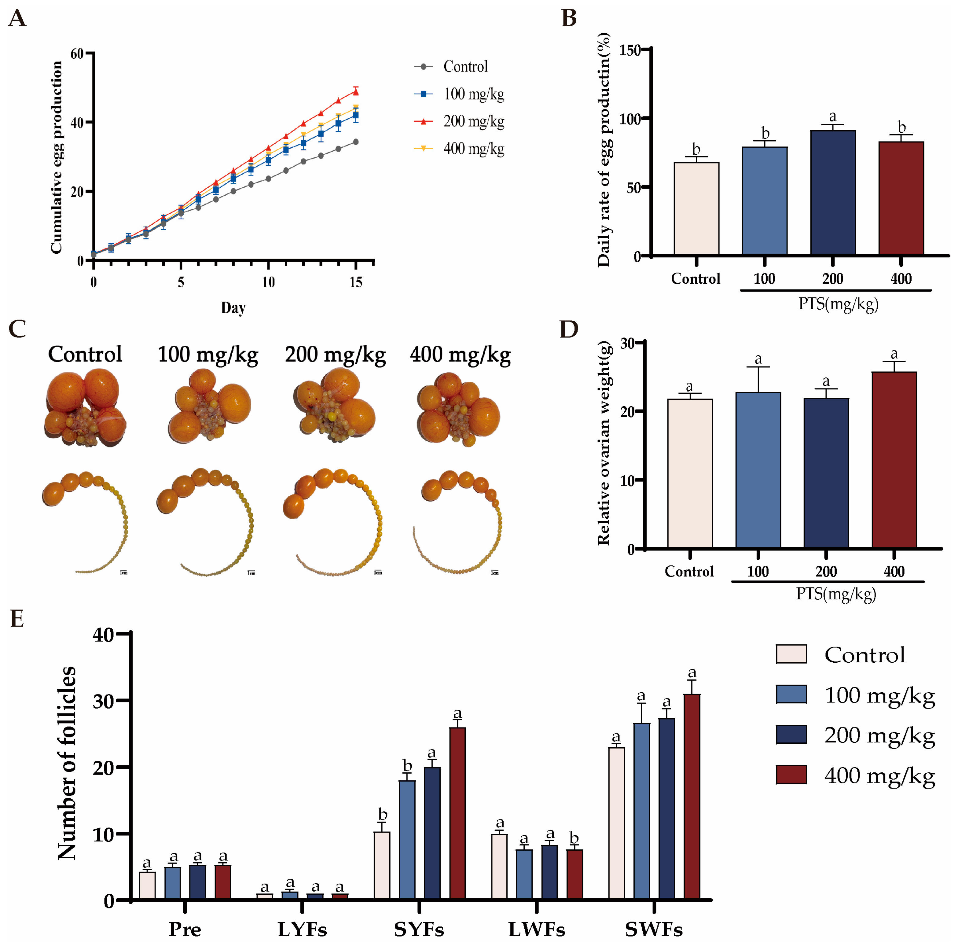 Antioxidants 13 00935 g001