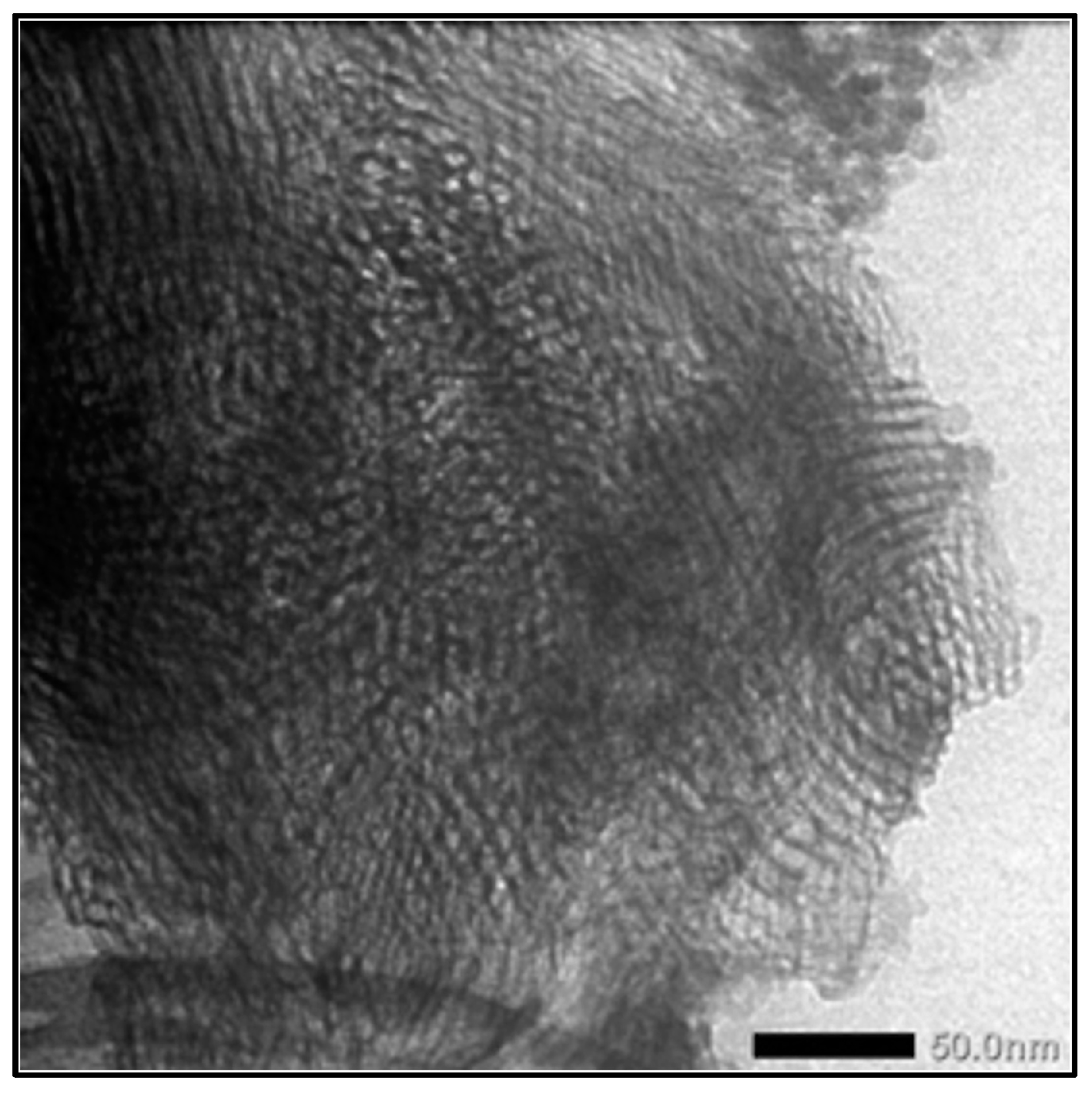 Antioxidants 13 00936 g001