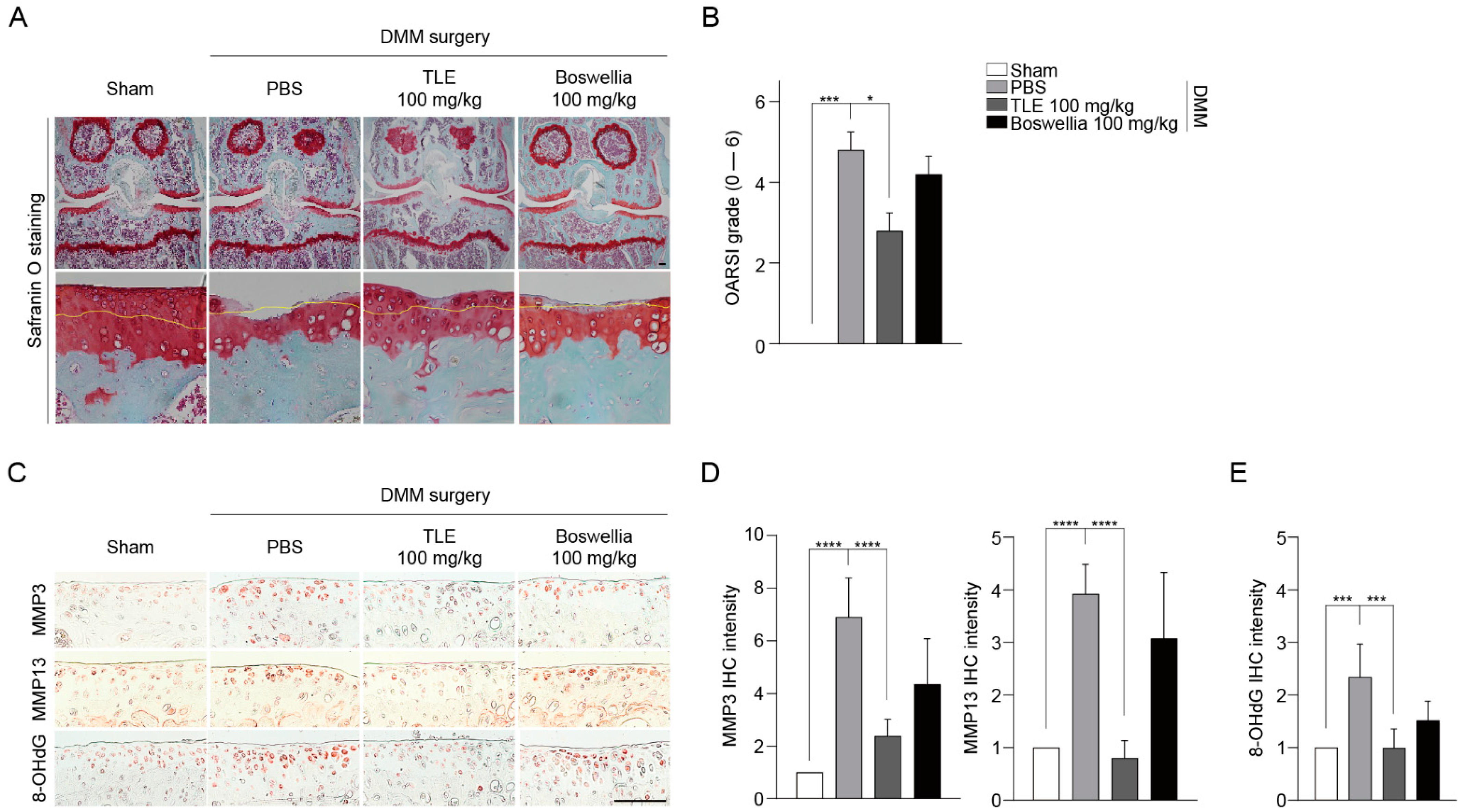 Antioxidants 13 00941 g002