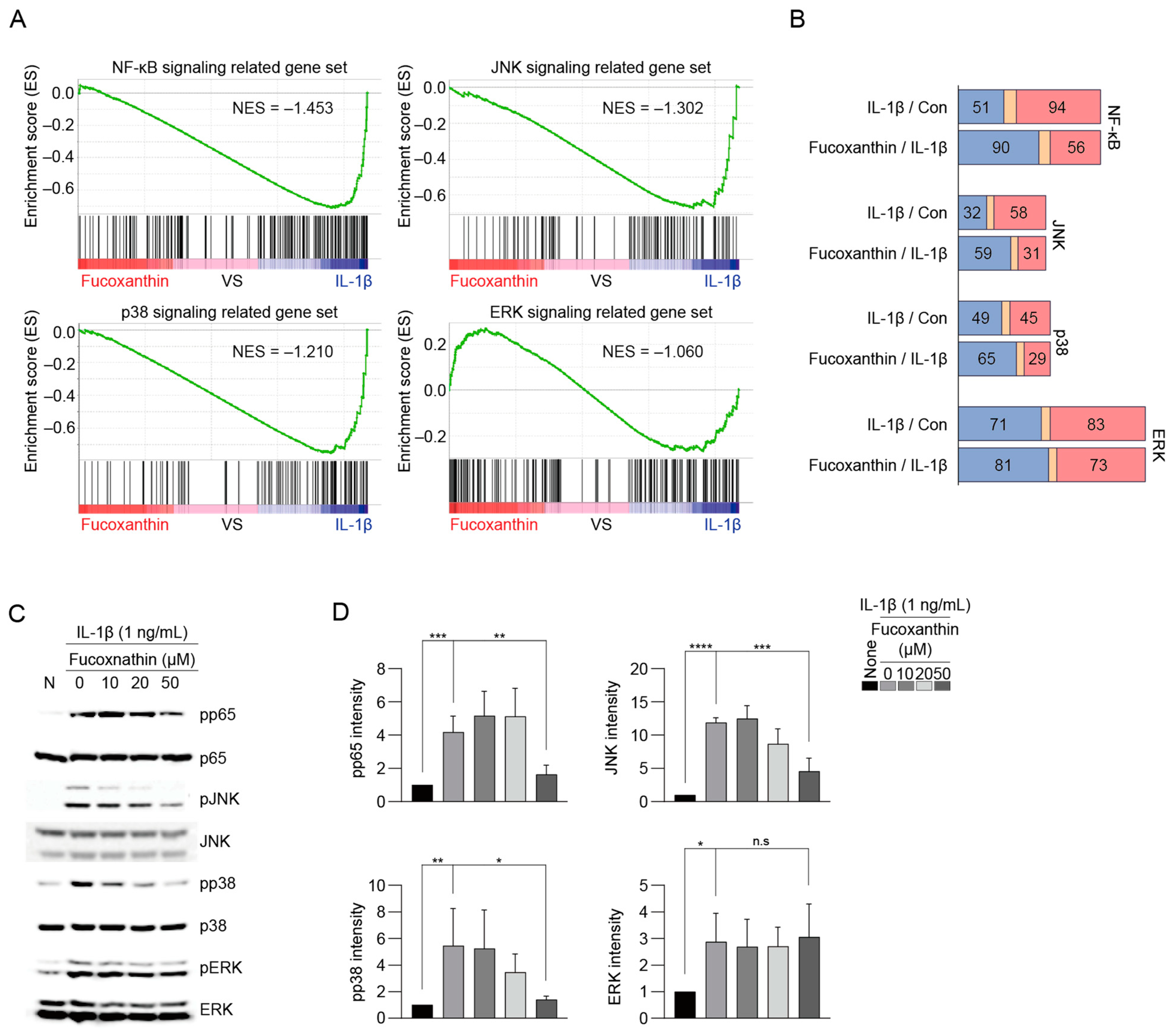 Antioxidants 13 00941 g005