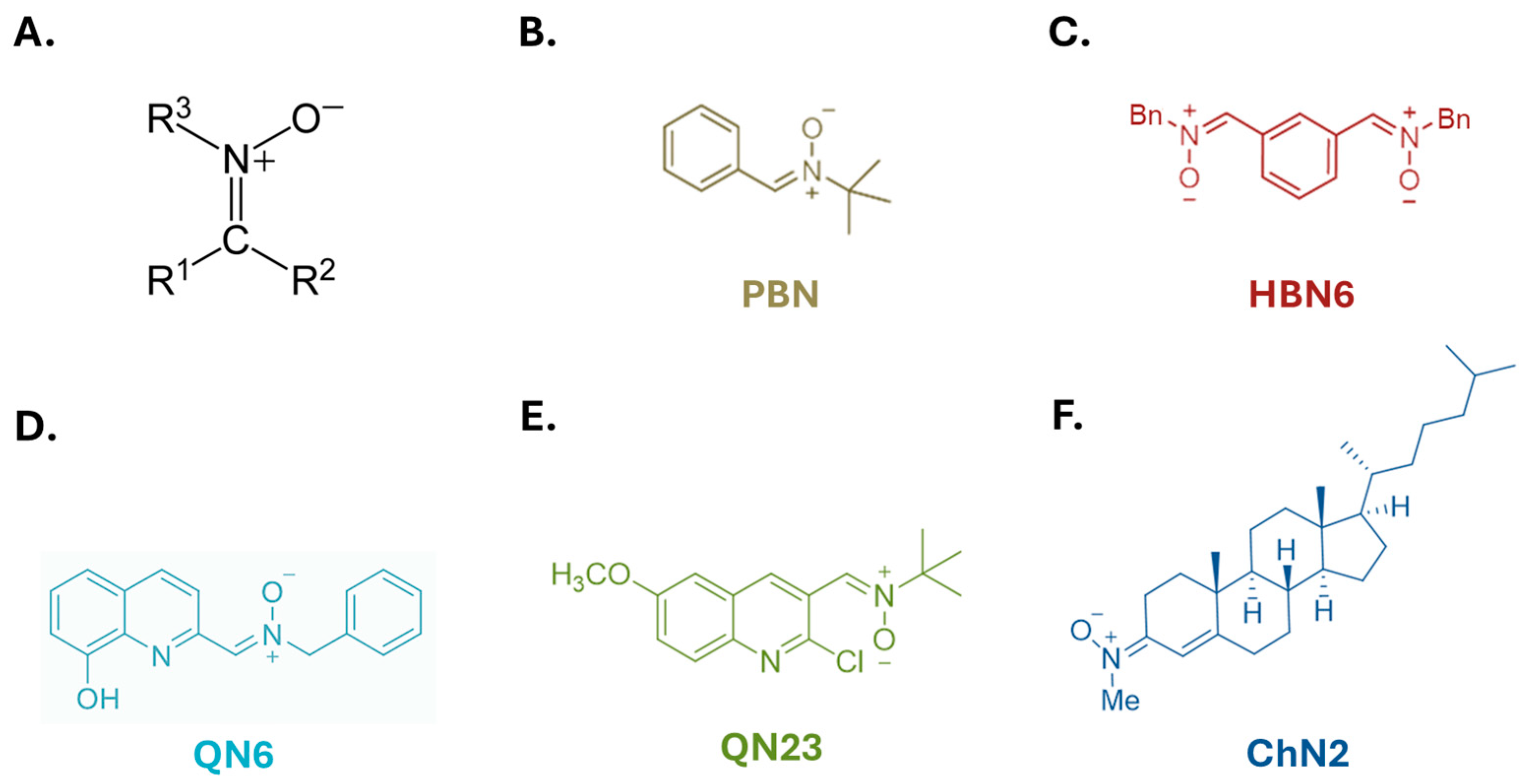 Antioxidants 13 00946 g001