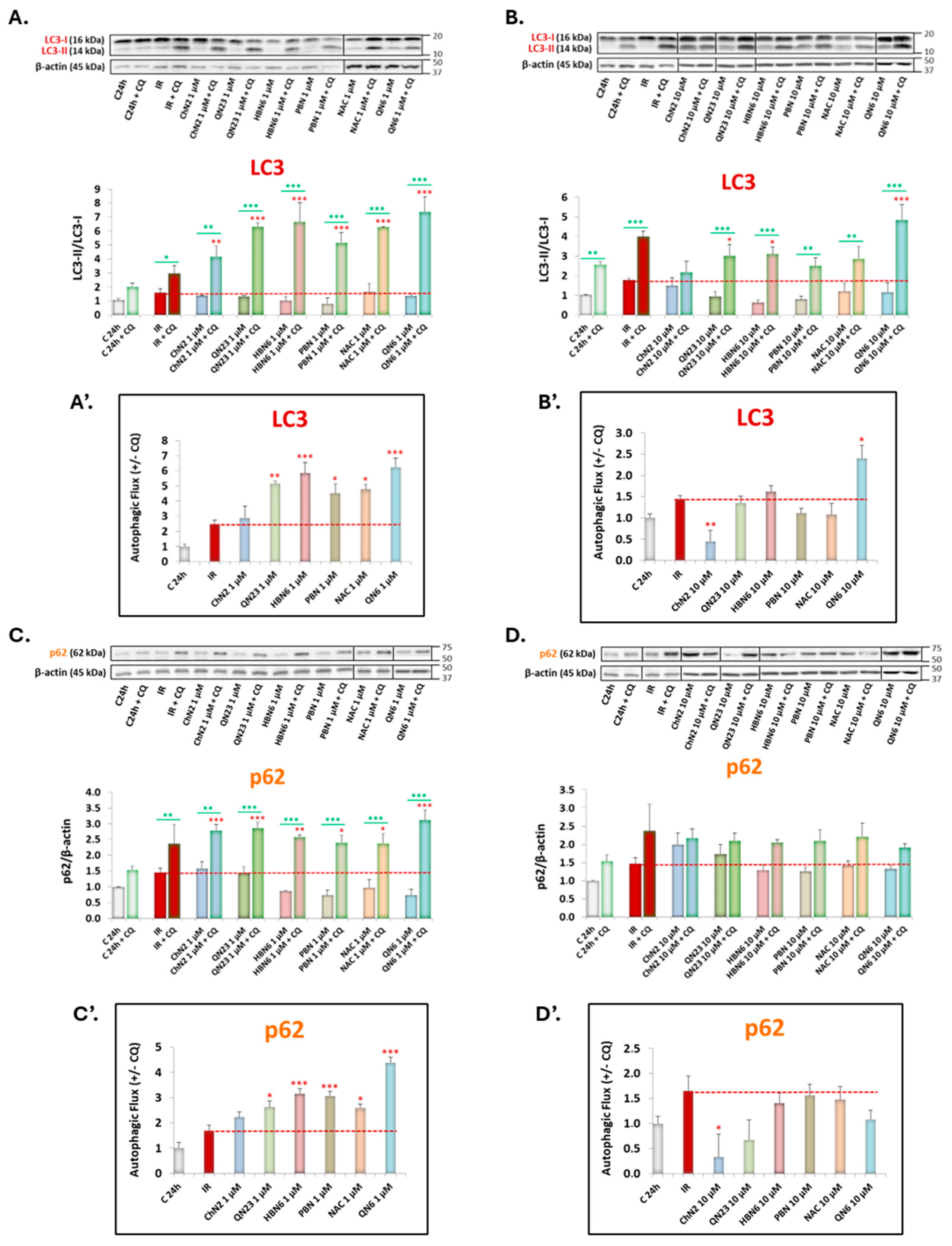 Antioxidants 13 00946 g005