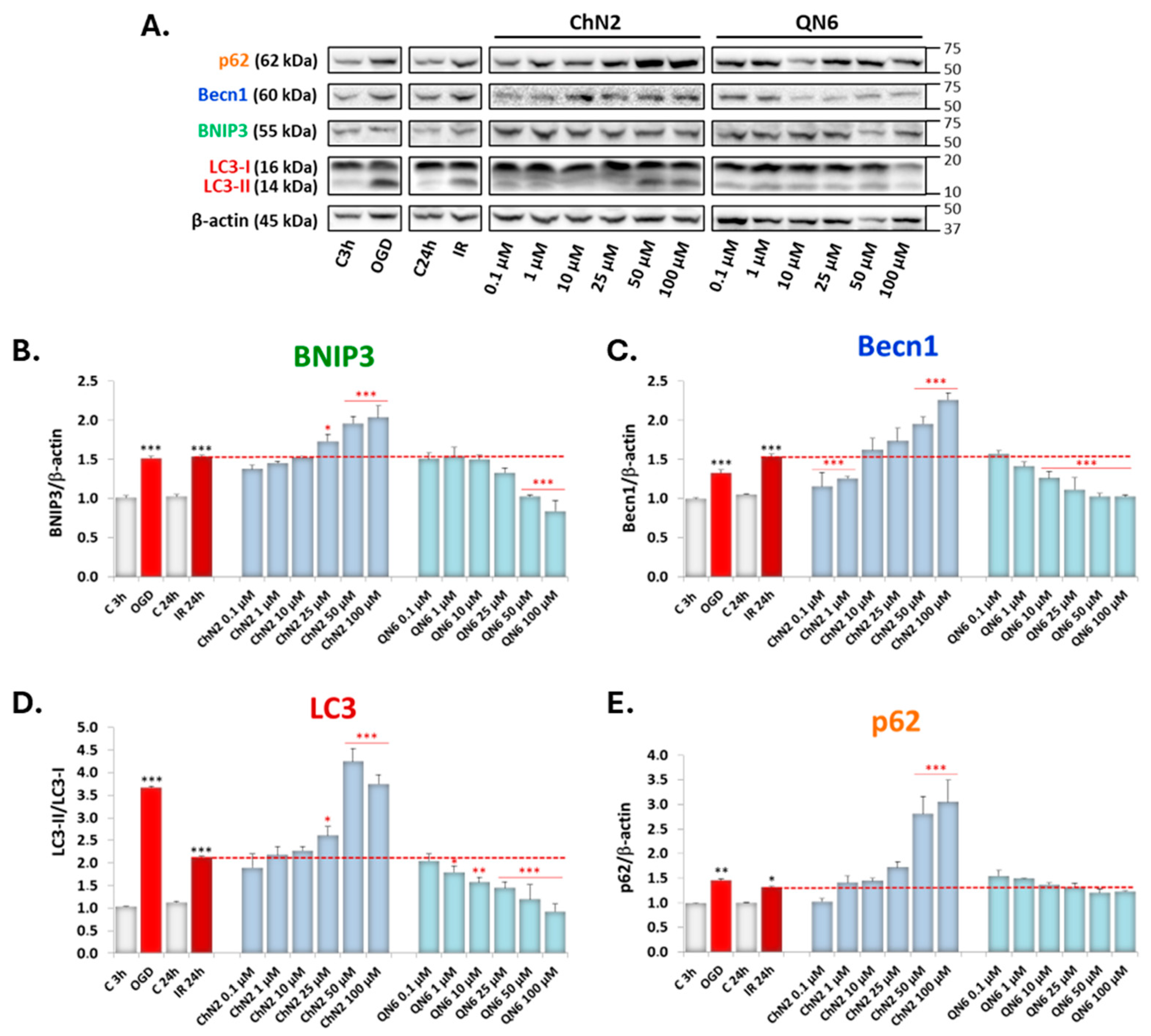 Antioxidants 13 00946 g007