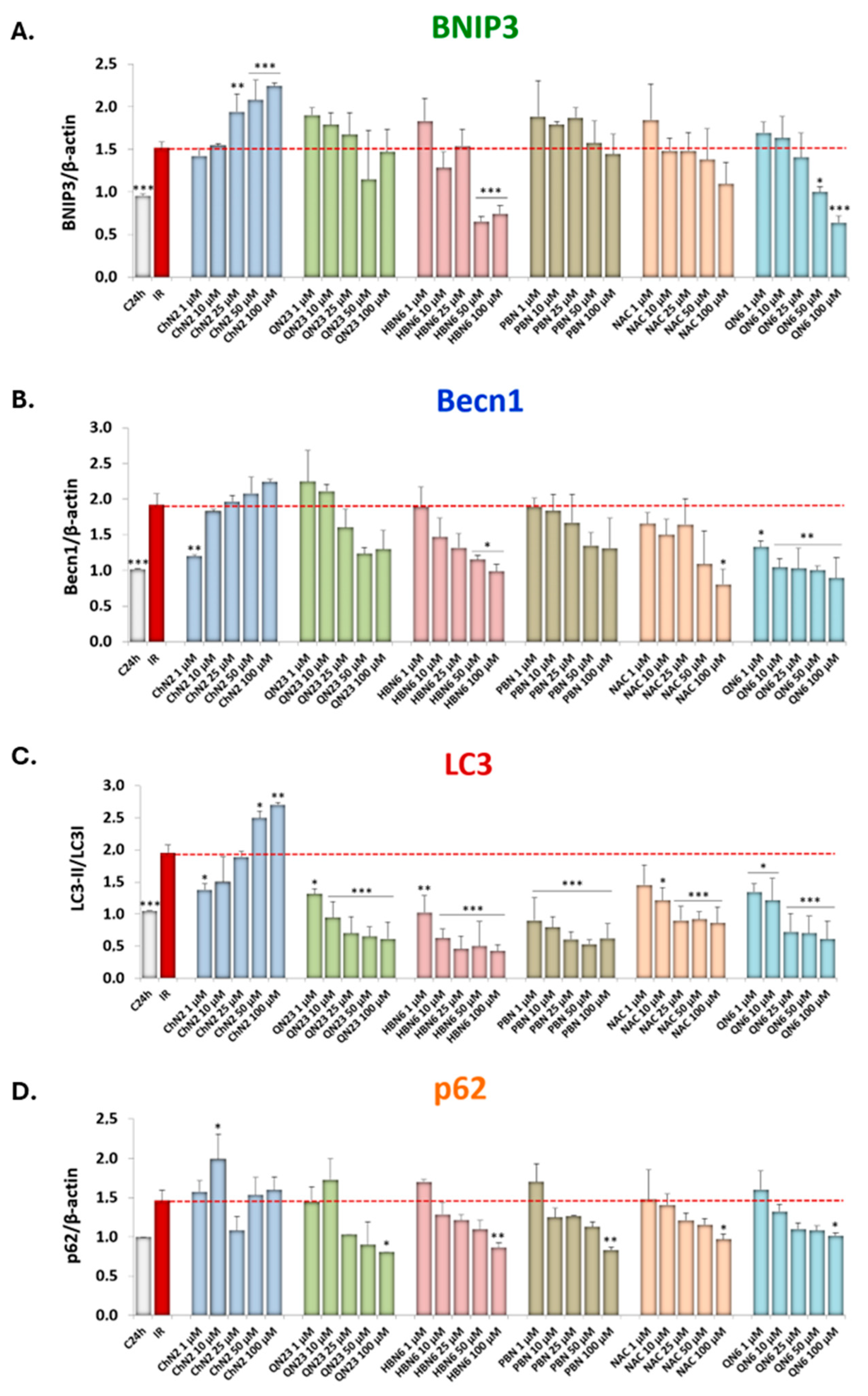 Antioxidants 13 00946 g008