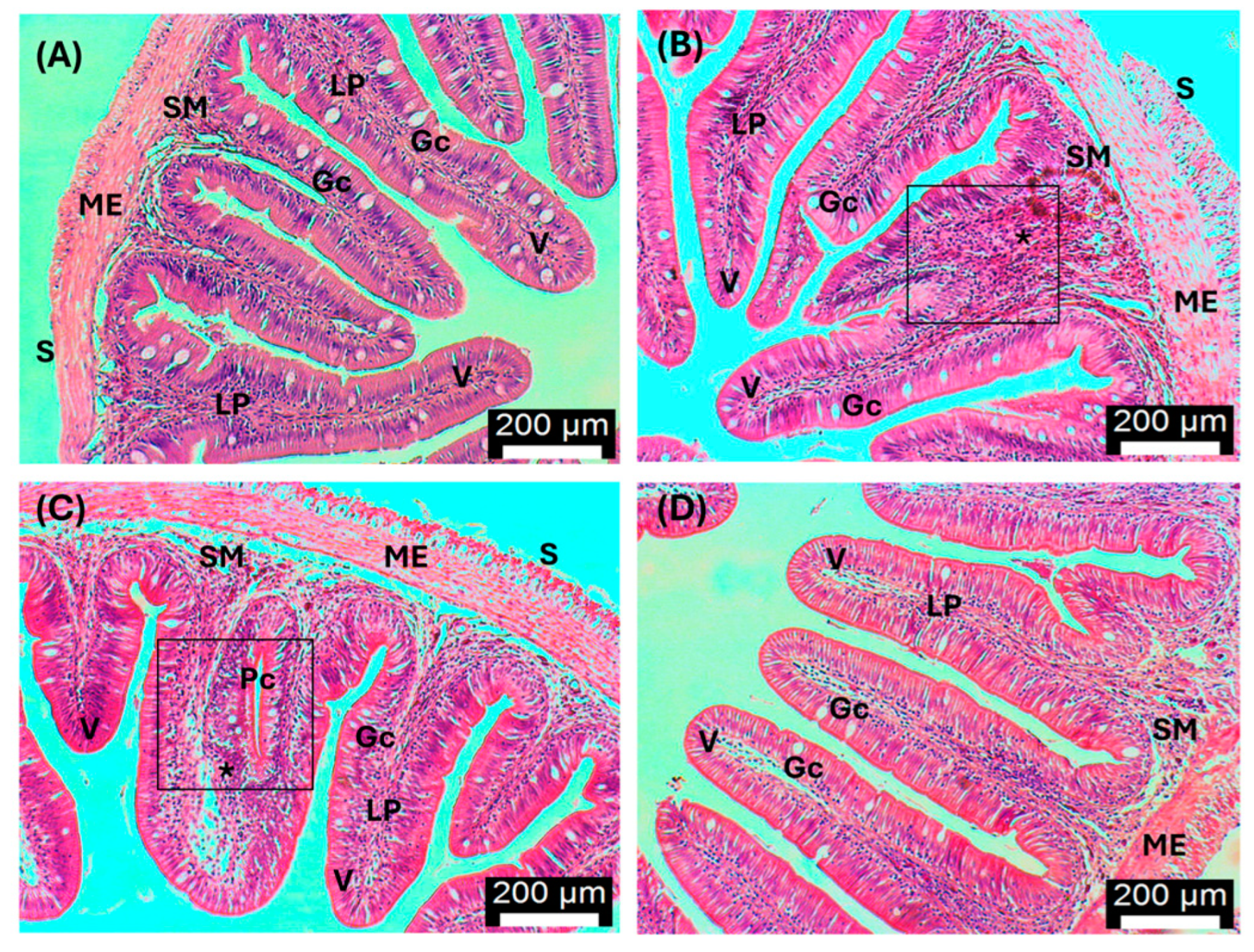 Antioxidants 13 00949 g008