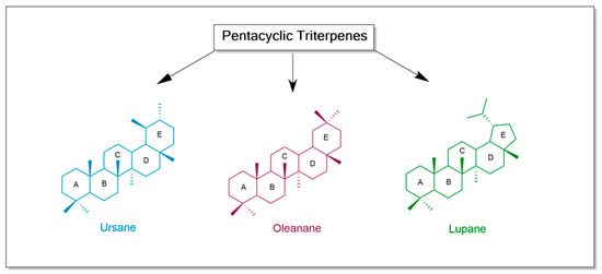 最も完璧な An Update on Pentacyclic Triterpenoids Ursolic and Oleanolic バスケ用バッグ