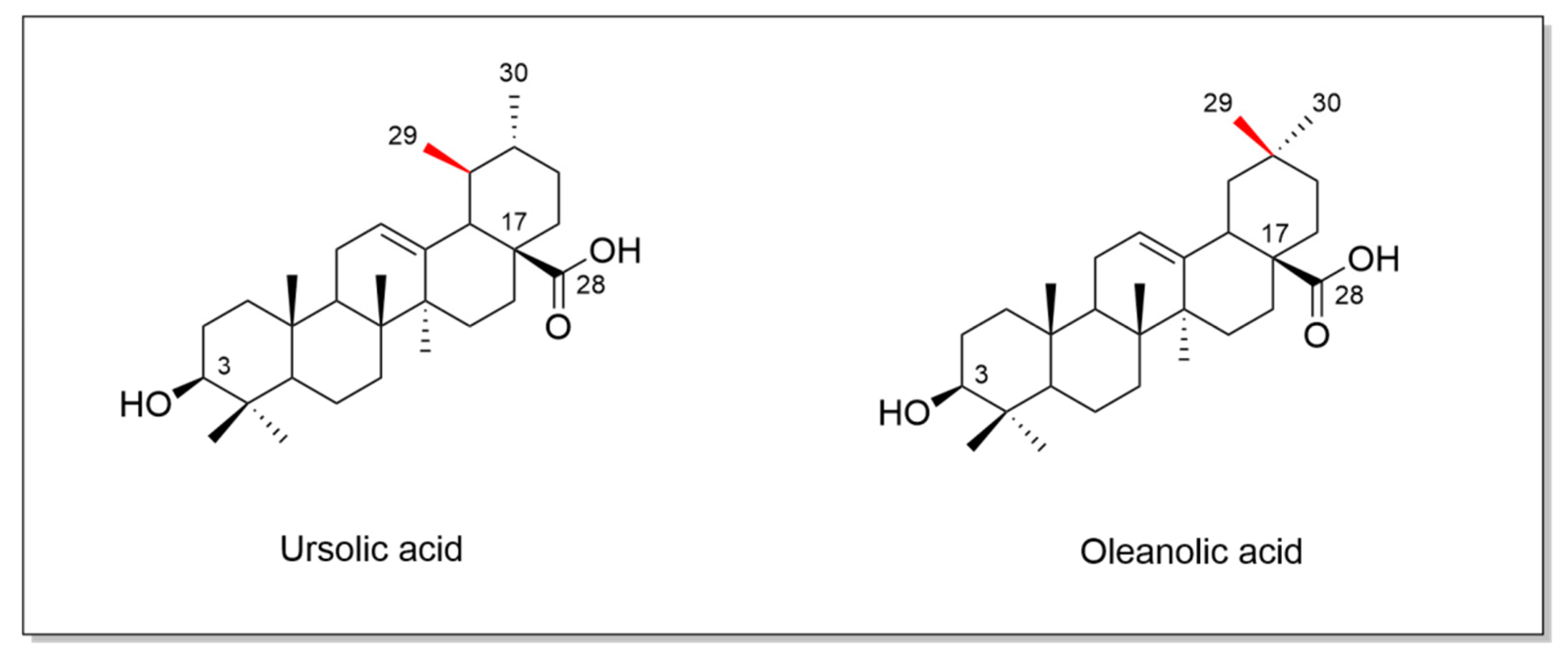 Antioxidants 13 00952 g002