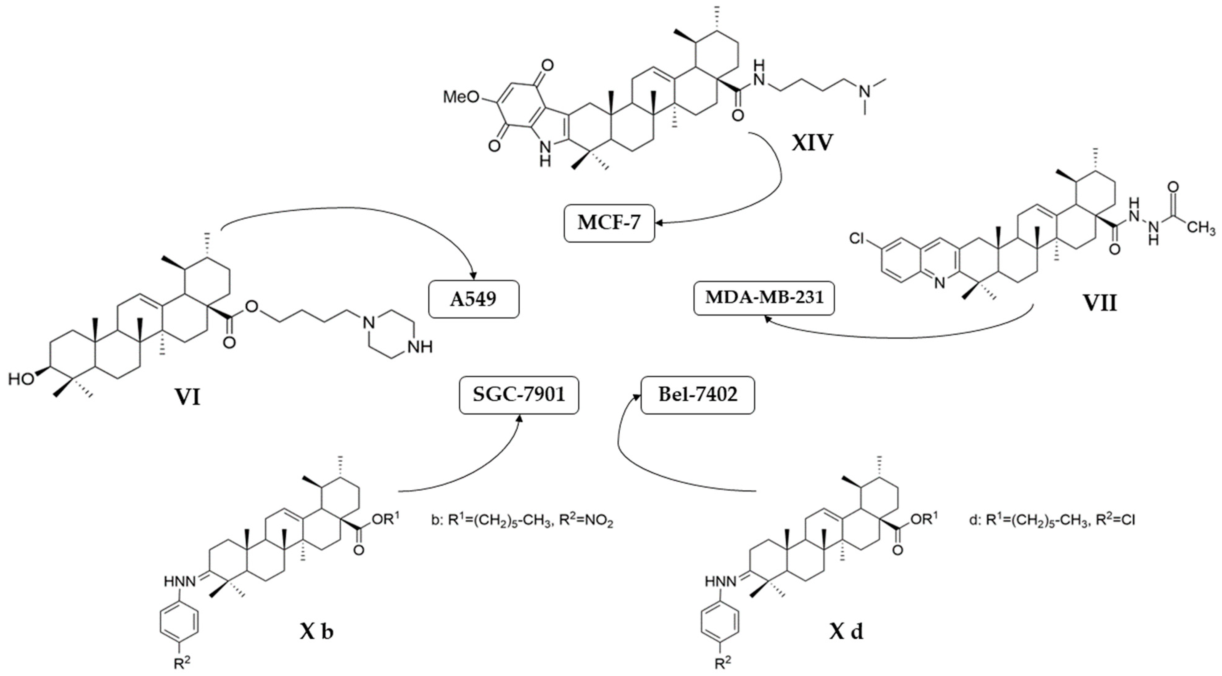 Antioxidants 13 00952 g007