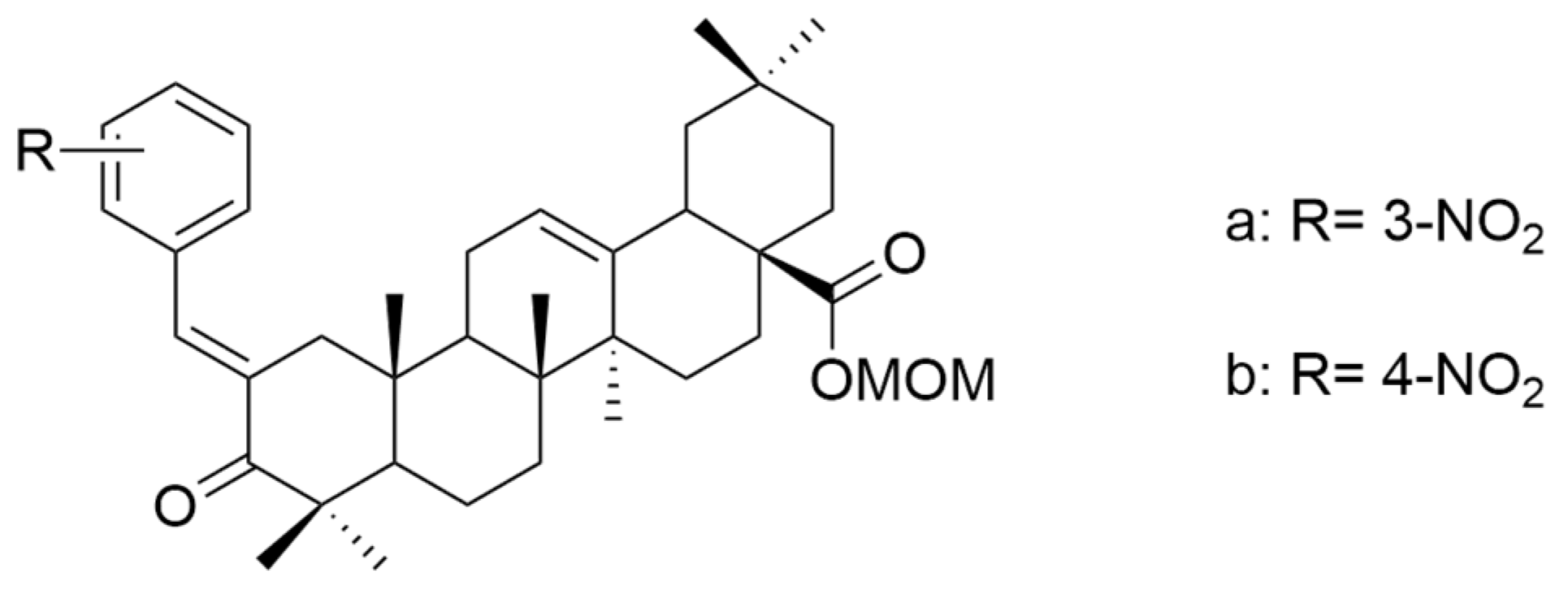 Antioxidants 13 00952 g014