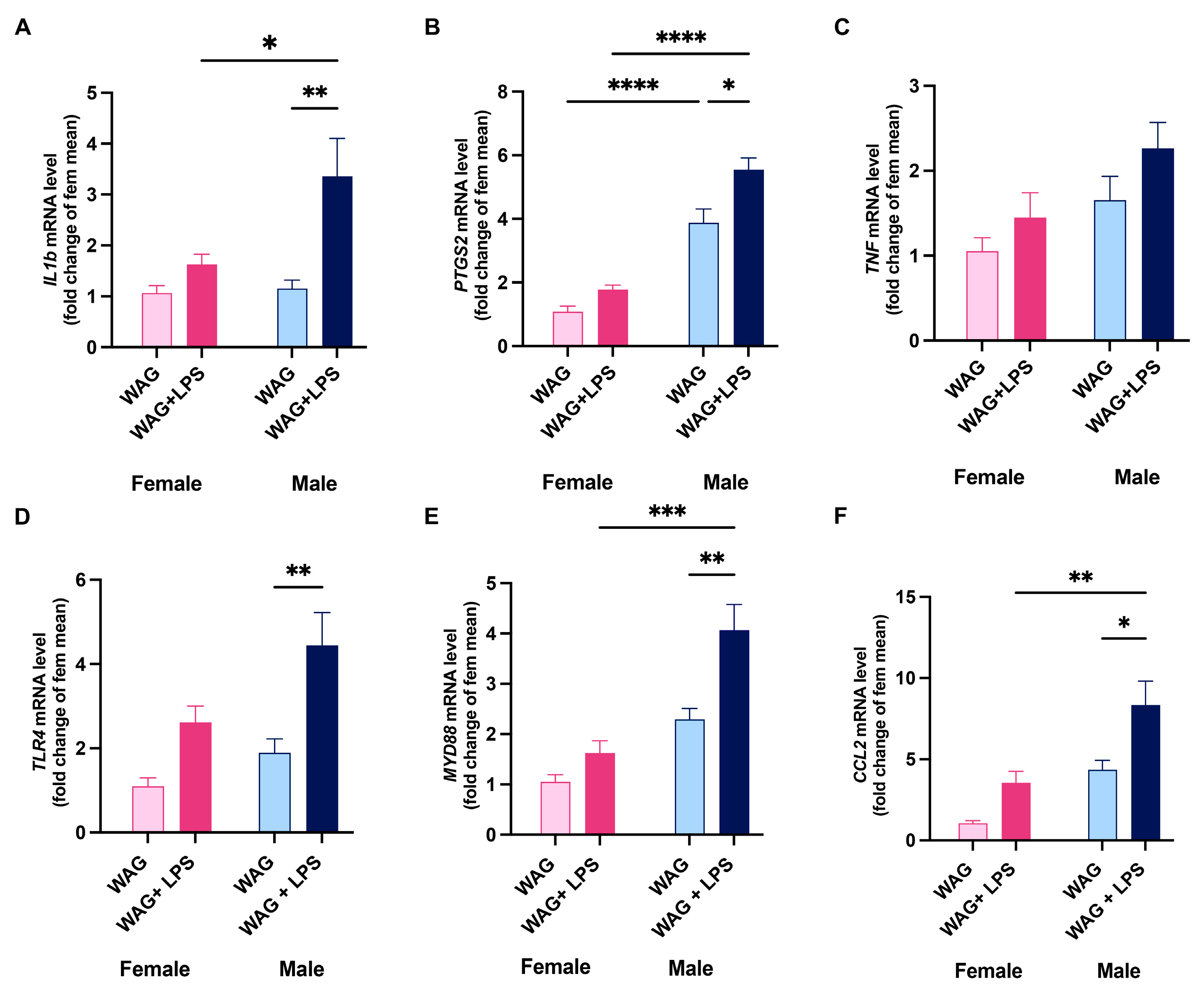 Antioxidants 13 00957 g003 Antioxidants 13 00957 g003