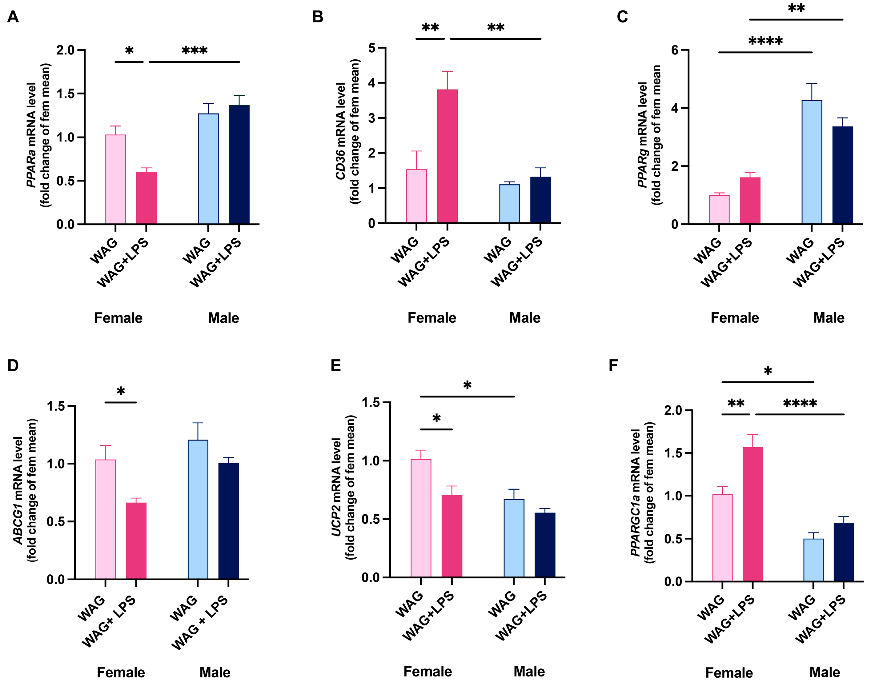 Antioxidants 13 00957 g004 Antioxidants 13 00957 g004