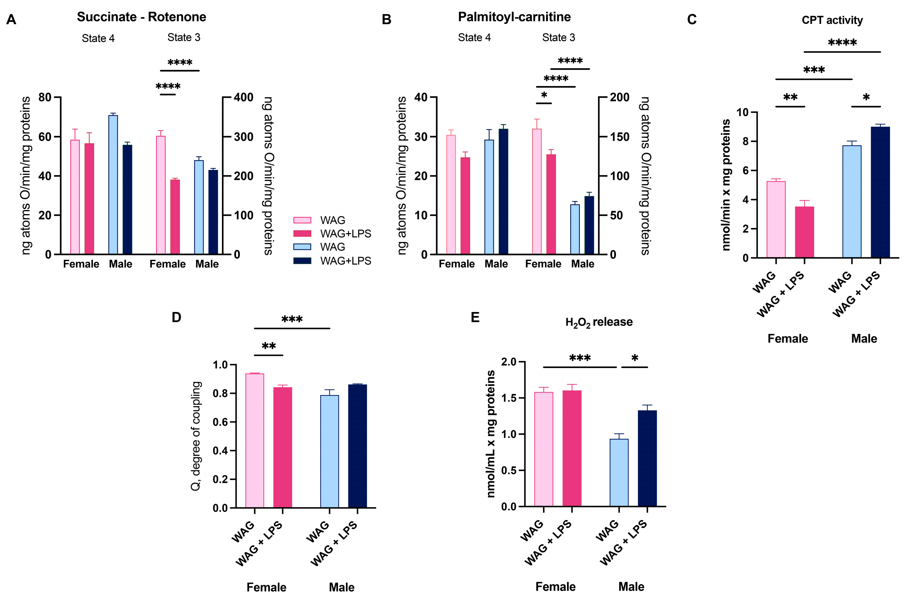 Antioxidants 13 00957 g005 Antioxidants 13 00957 g005