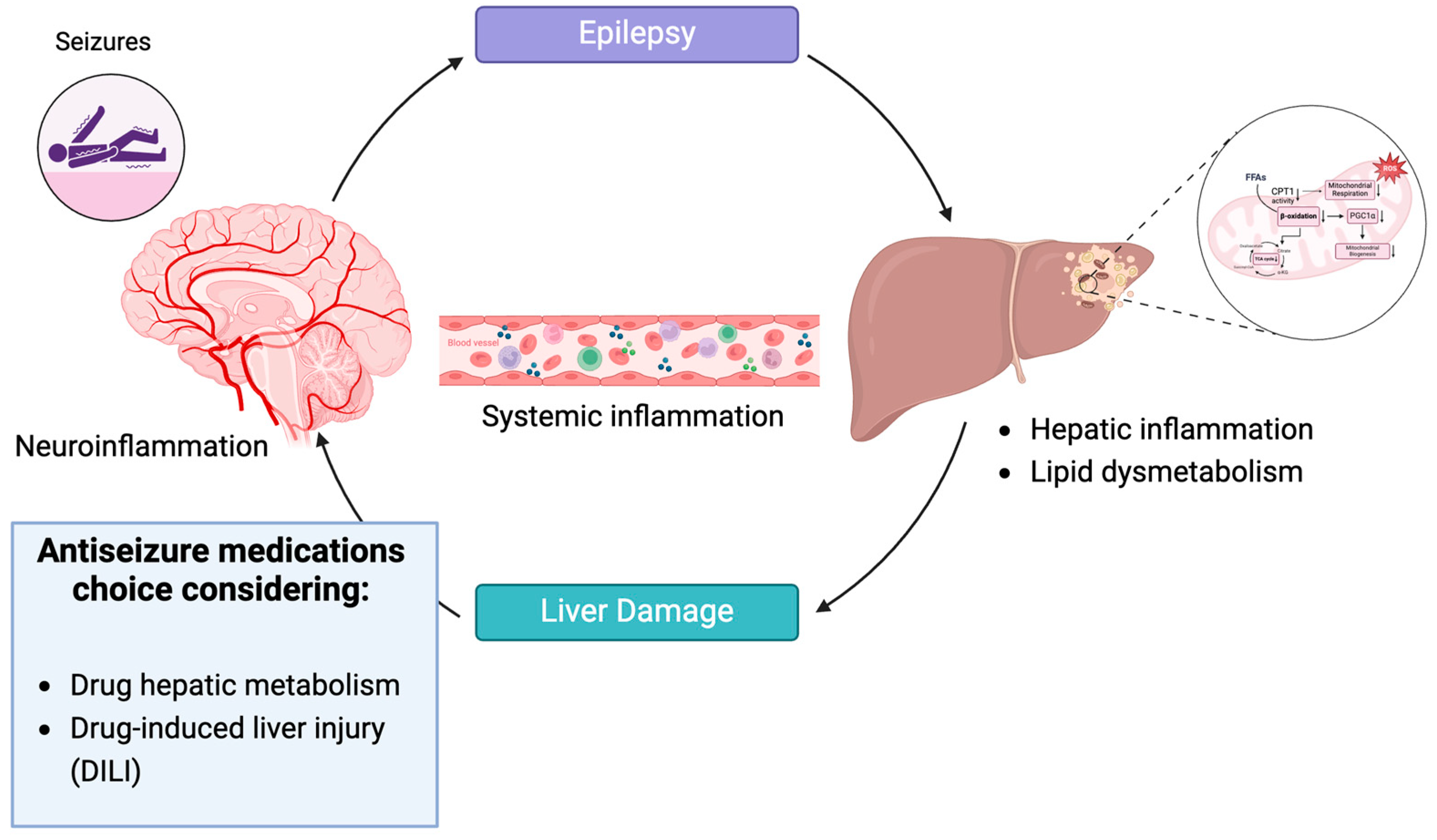 Antioxidants 13 00957 sch001 Antioxidants 13 00957 sch001