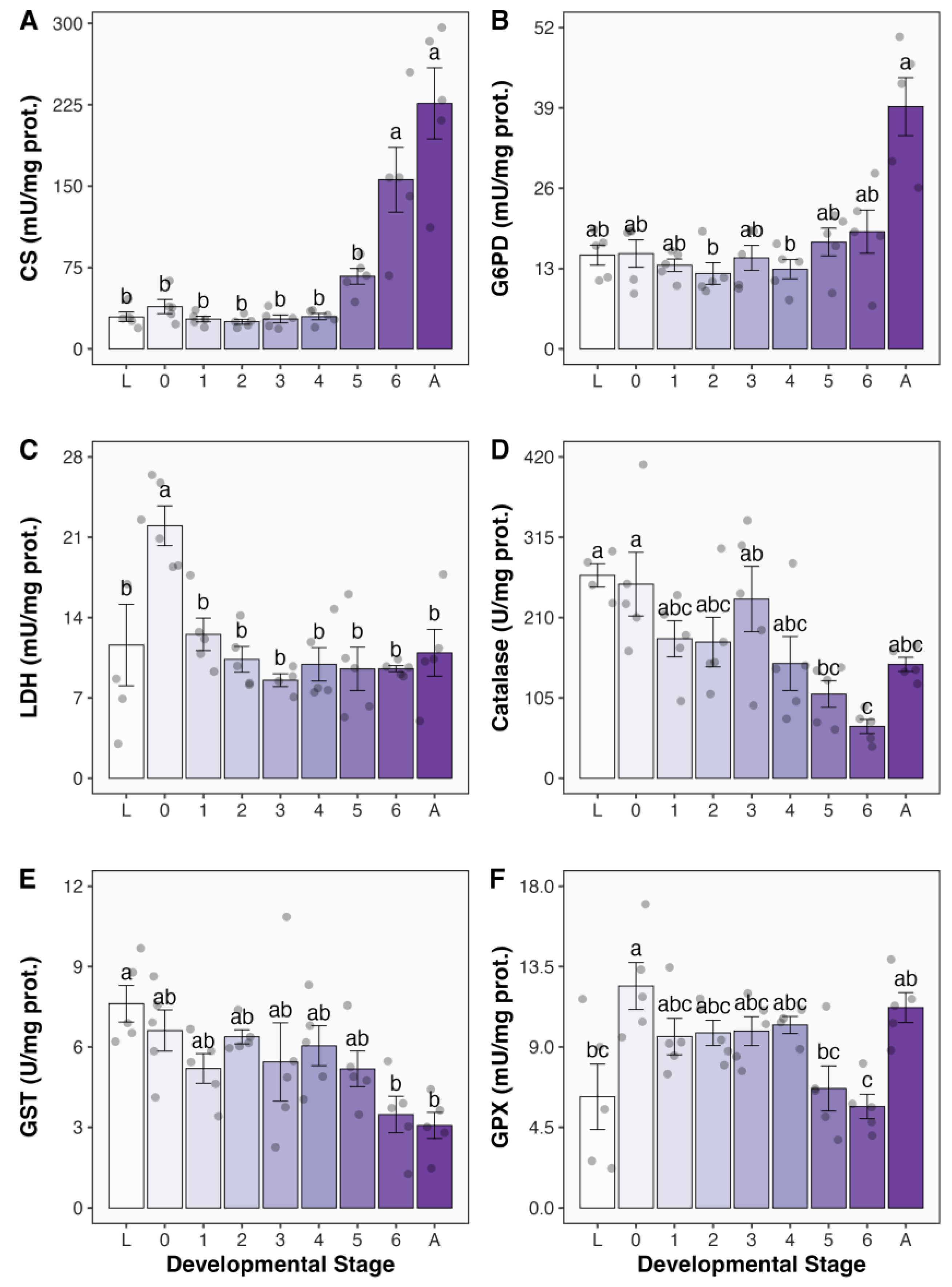 Antioxidants 13 00959 g001 Antioxidants 13 00959 g001