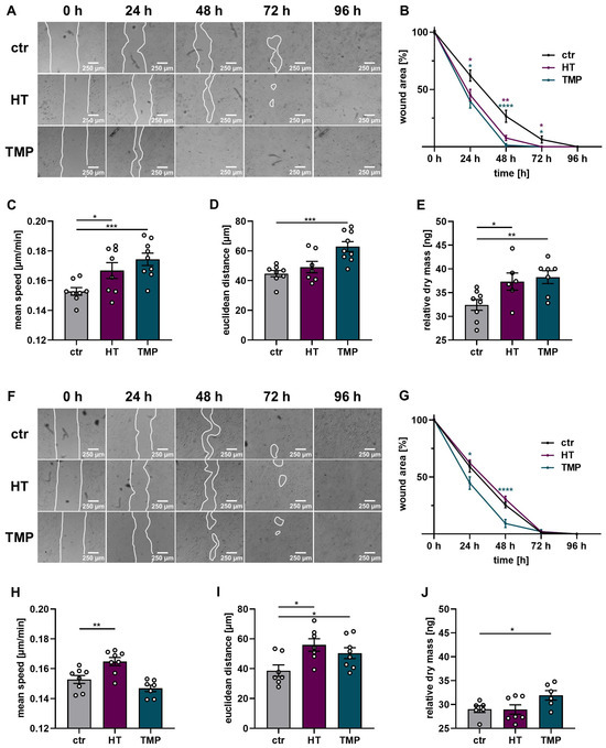 kai Magnetic Core–Shell-Structured FeOx/CN Catalyst Mediated