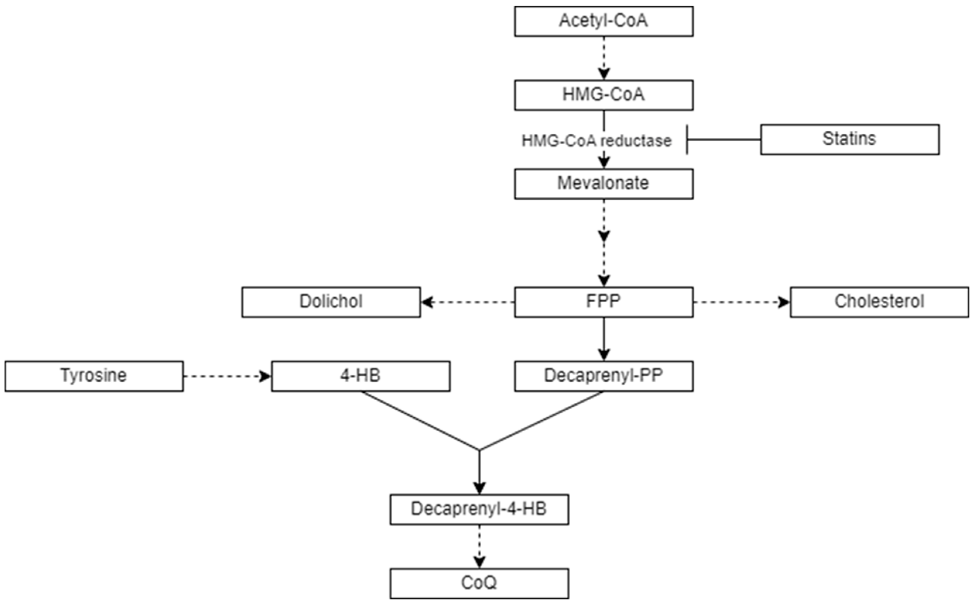 Antioxidants 13 00966 g001 Antioxidants 13 00966 g001