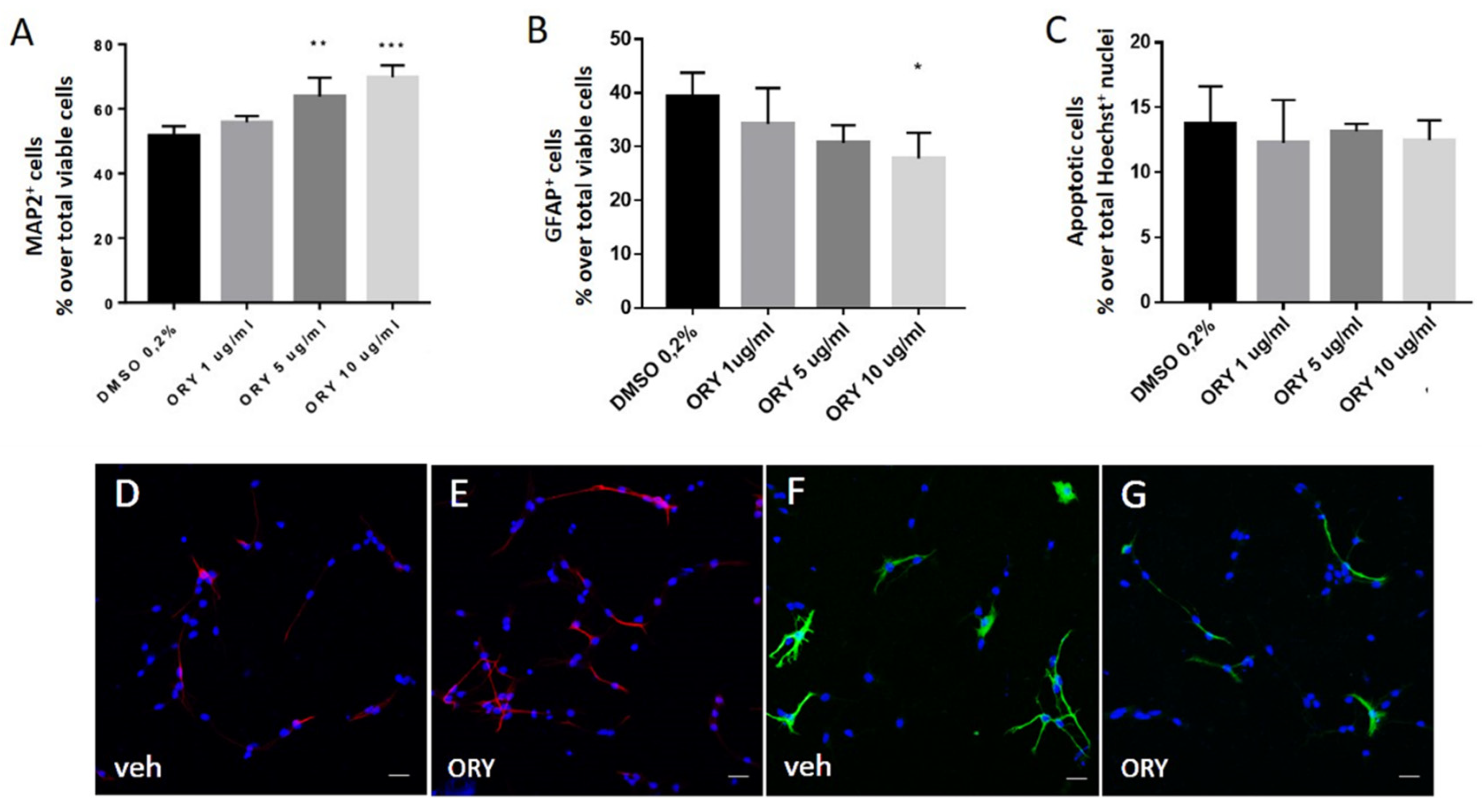 Antioxidants 13 00969 g004