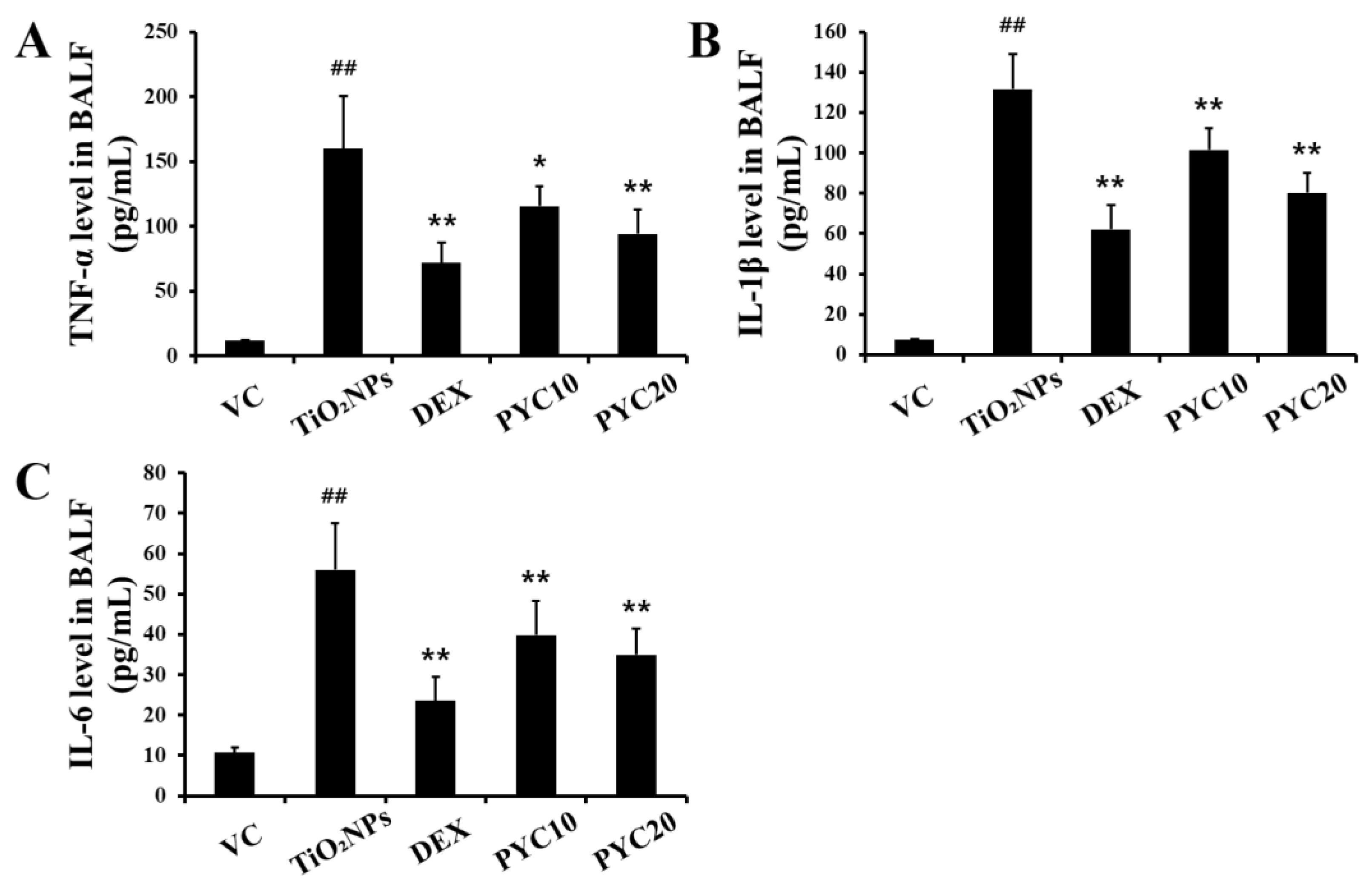 Antioxidants 13 00972 g002