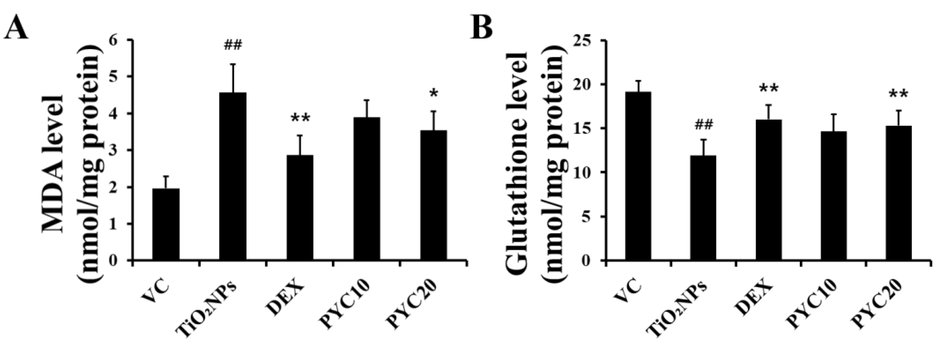 Antioxidants 13 00972 g005
