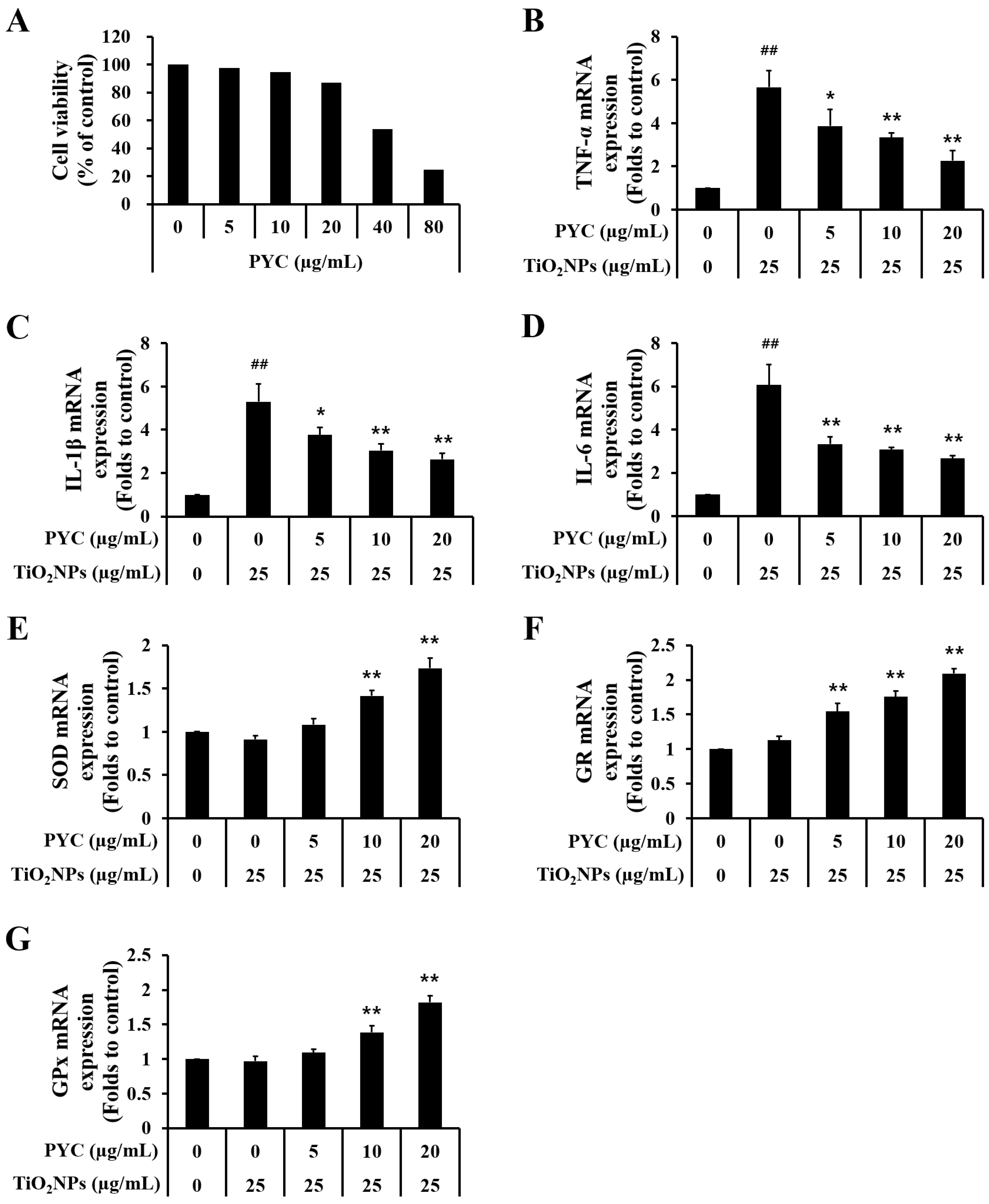 Antioxidants 13 00972 g007