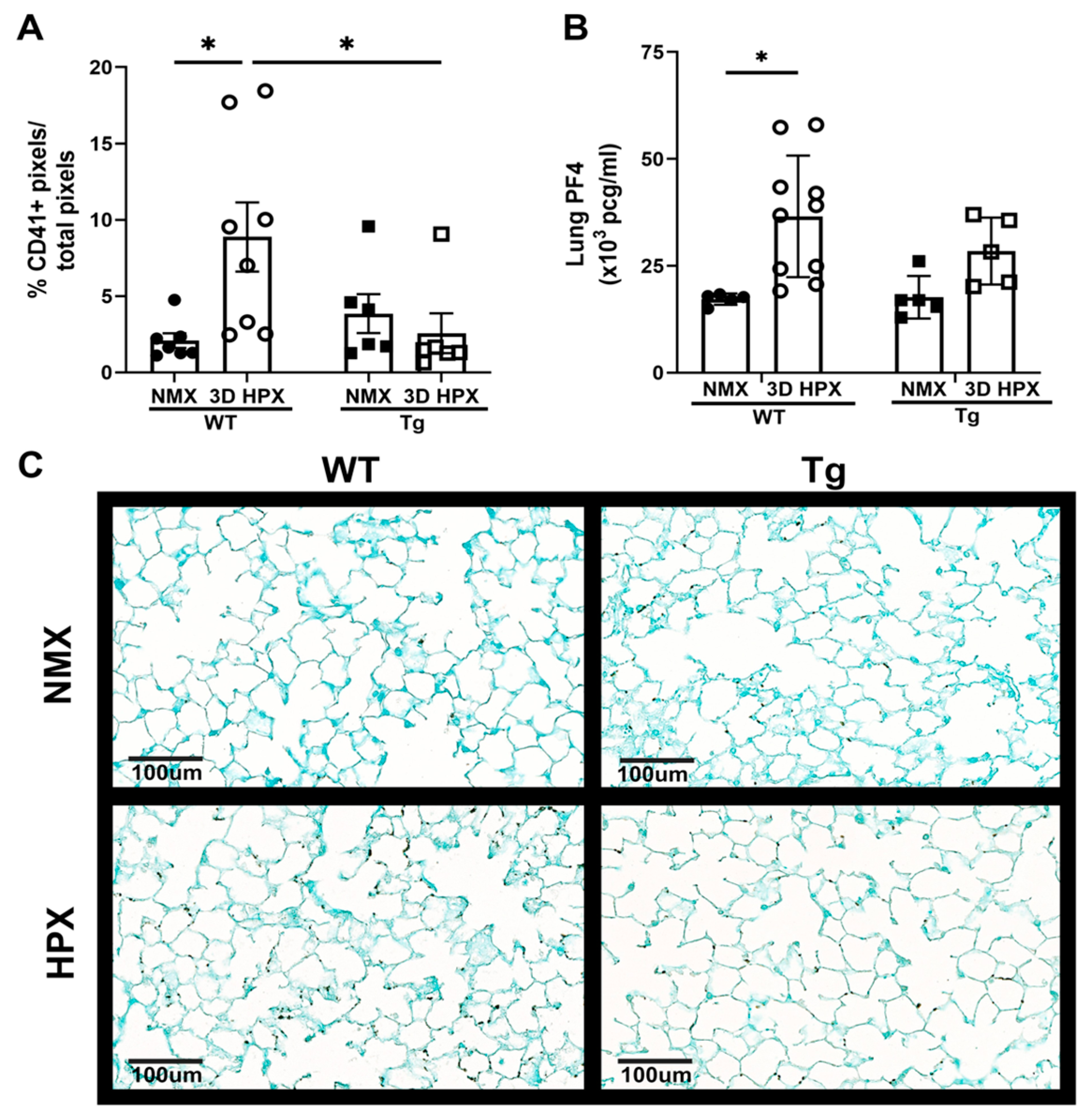 Antioxidants 13 00975 g002
