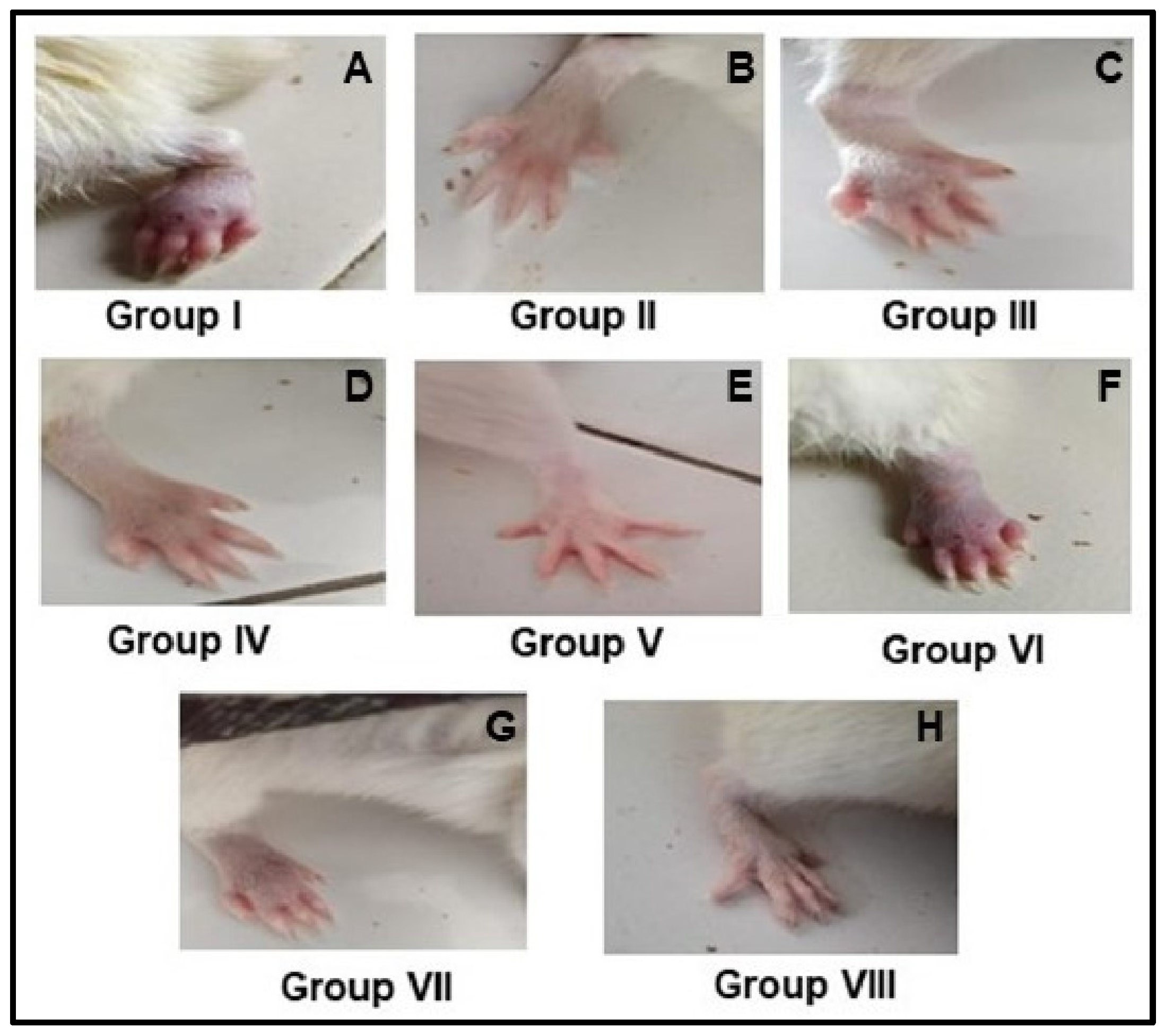 Antioxidants 13 00976 g006