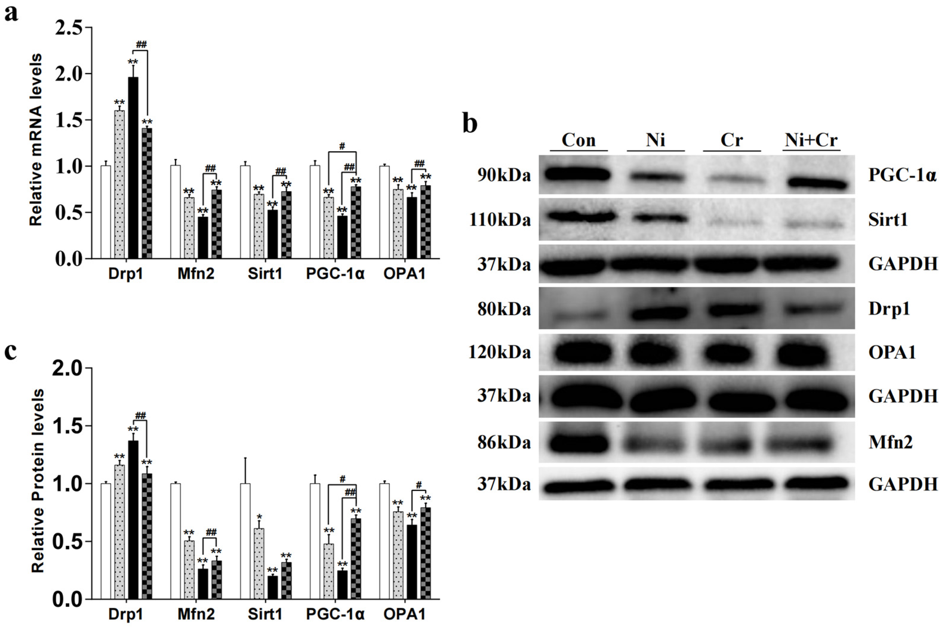 Antioxidants 13 00980 g005