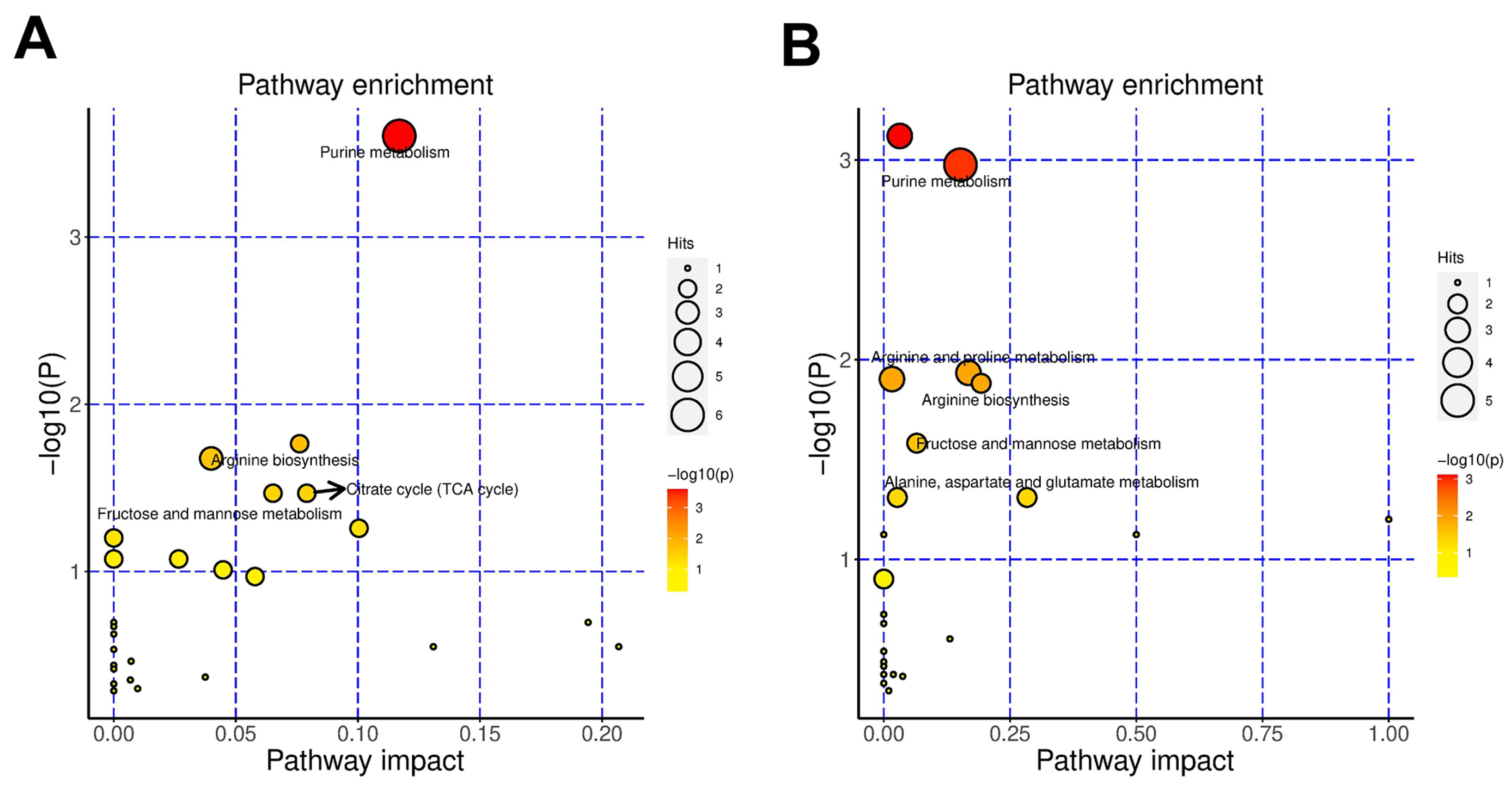 Antioxidants 13 00988 g009