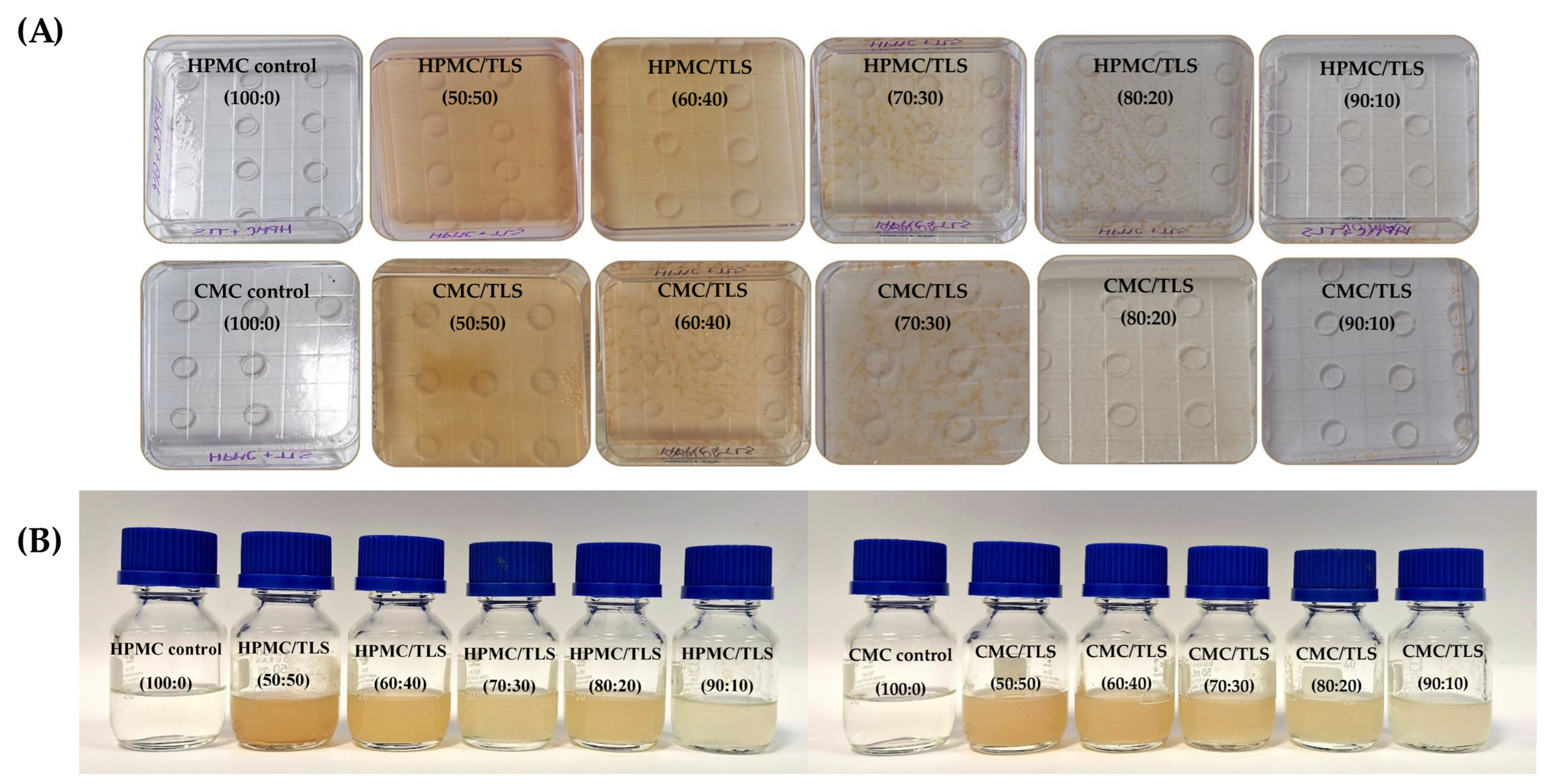 Antioxidants 13 00989 g005