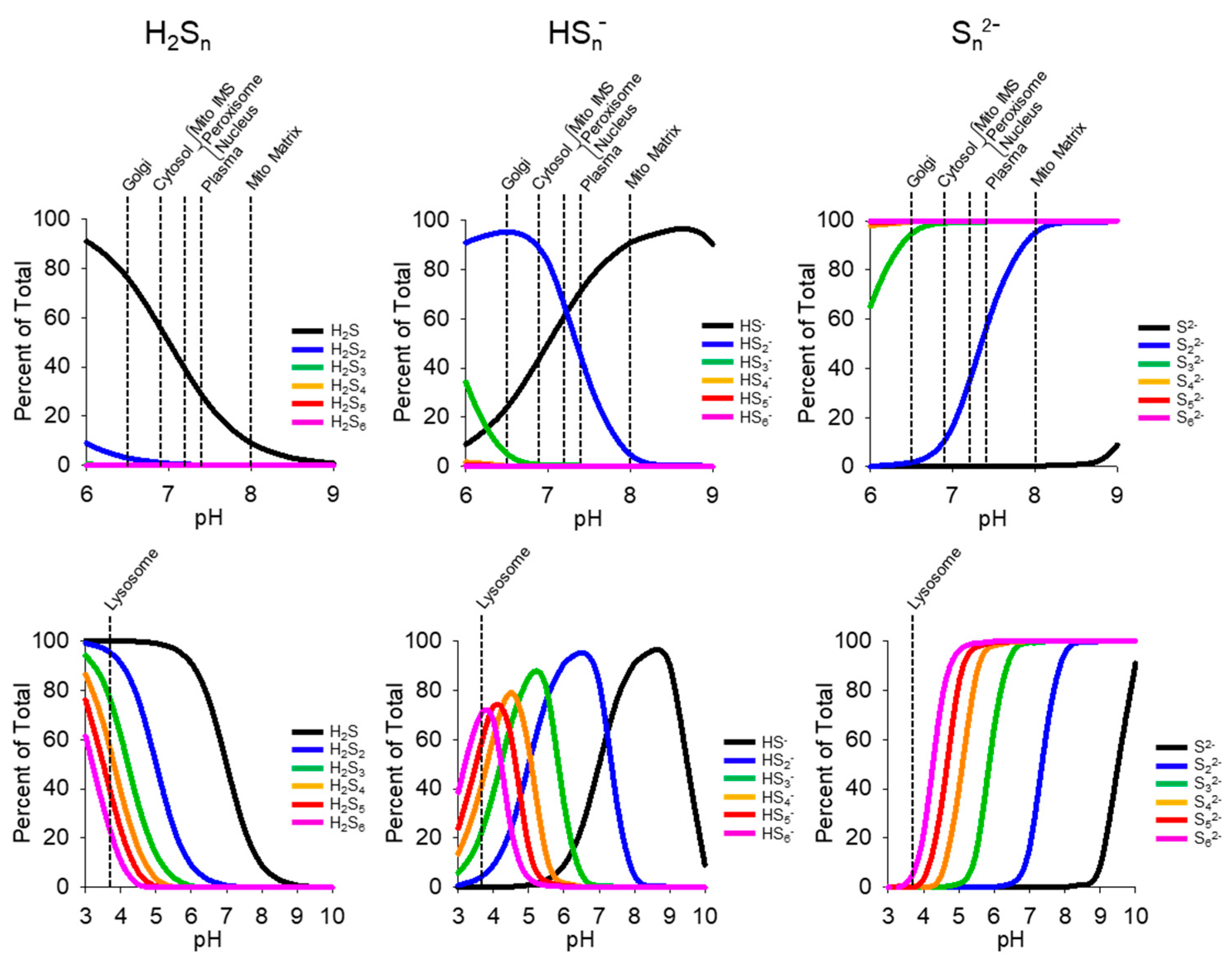Antioxidants 13 00991 g007