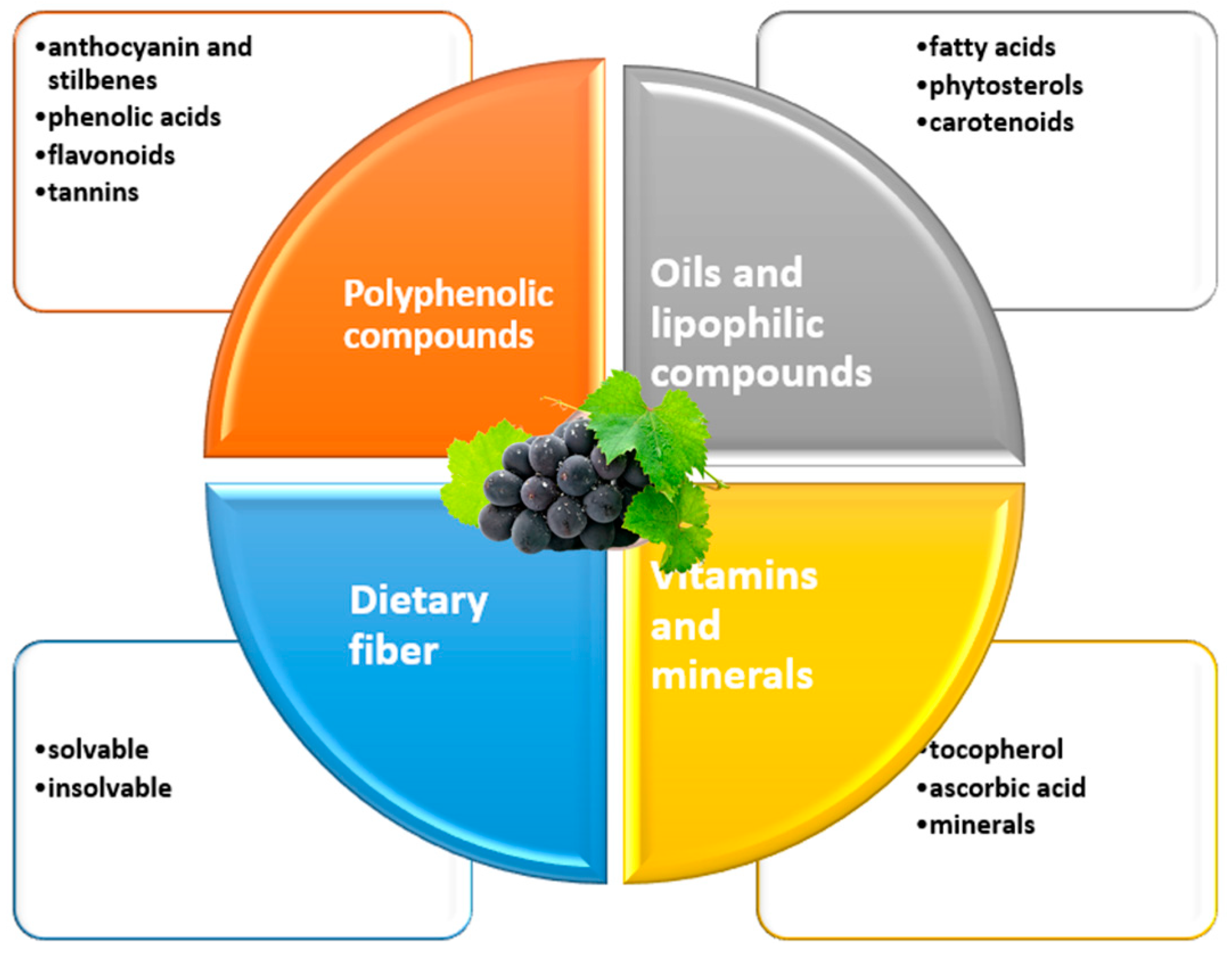 Antioxidants 13 00992 g001 Antioxidants 13 00992 g001
