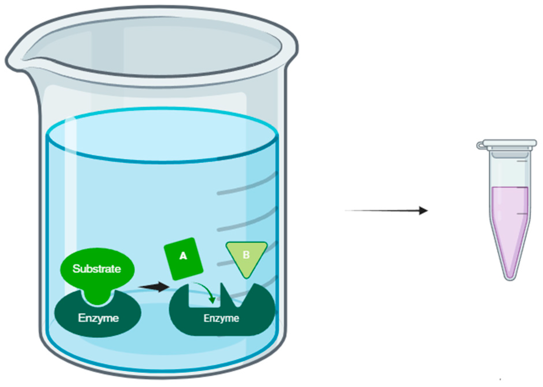 Antioxidants 13 00992 g004 Antioxidants 13 00992 g004