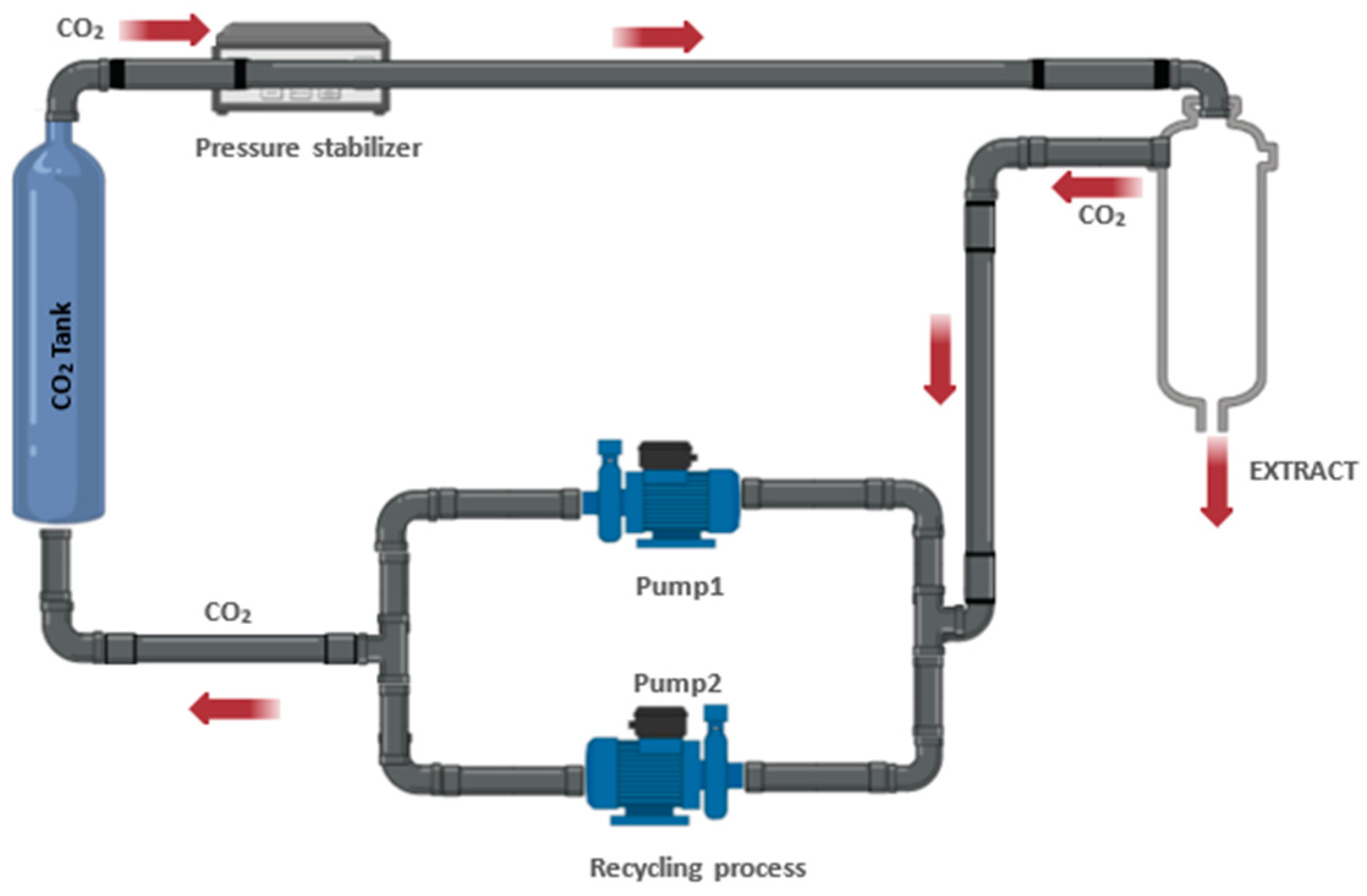 Antioxidants 13 00992 g006 Antioxidants 13 00992 g006