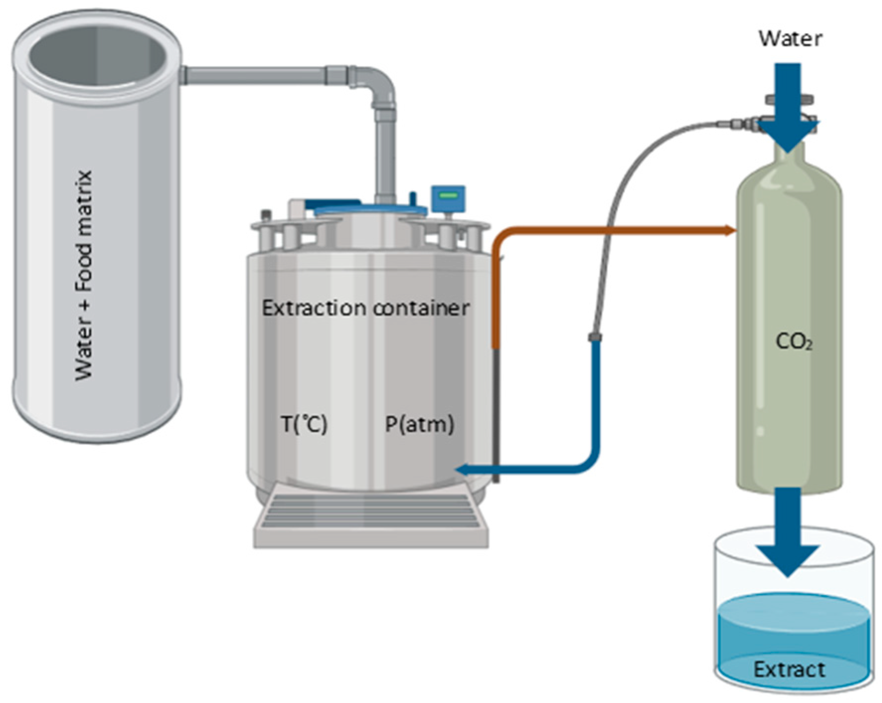 Antioxidants 13 00992 g009 Antioxidants 13 00992 g009