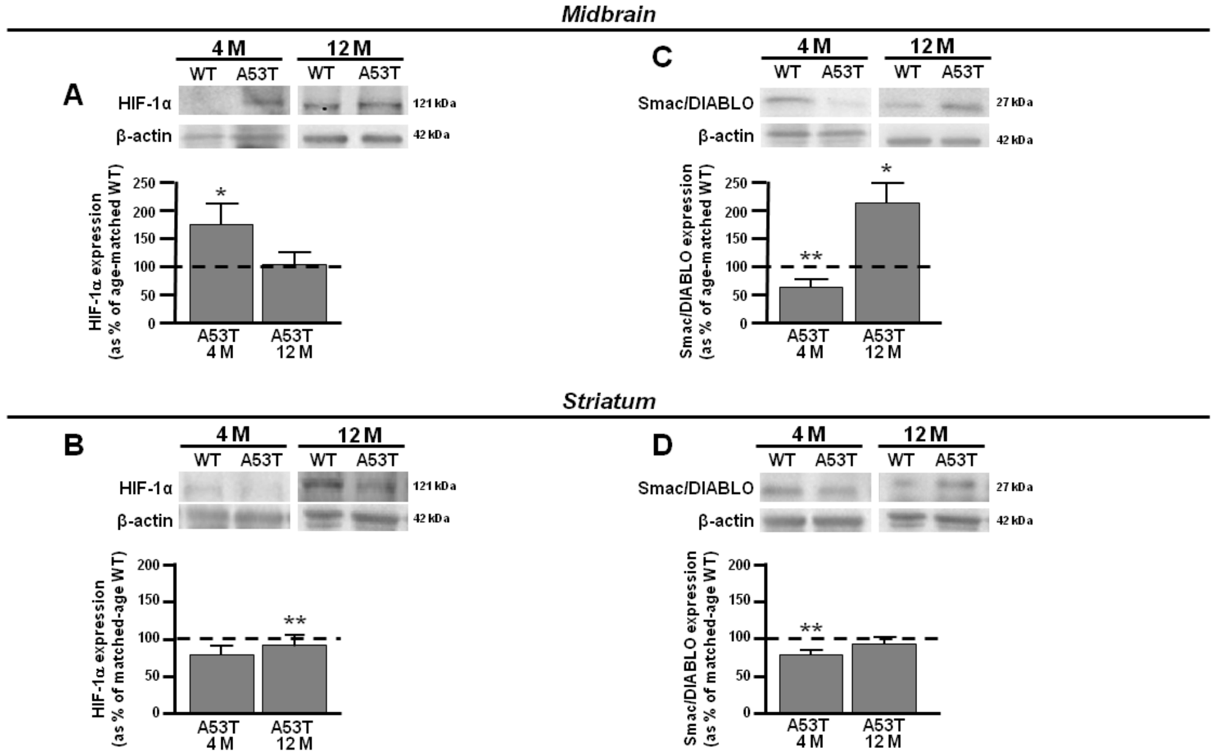 Antioxidants 13 00999 g002 Antioxidants 13 00999 g002