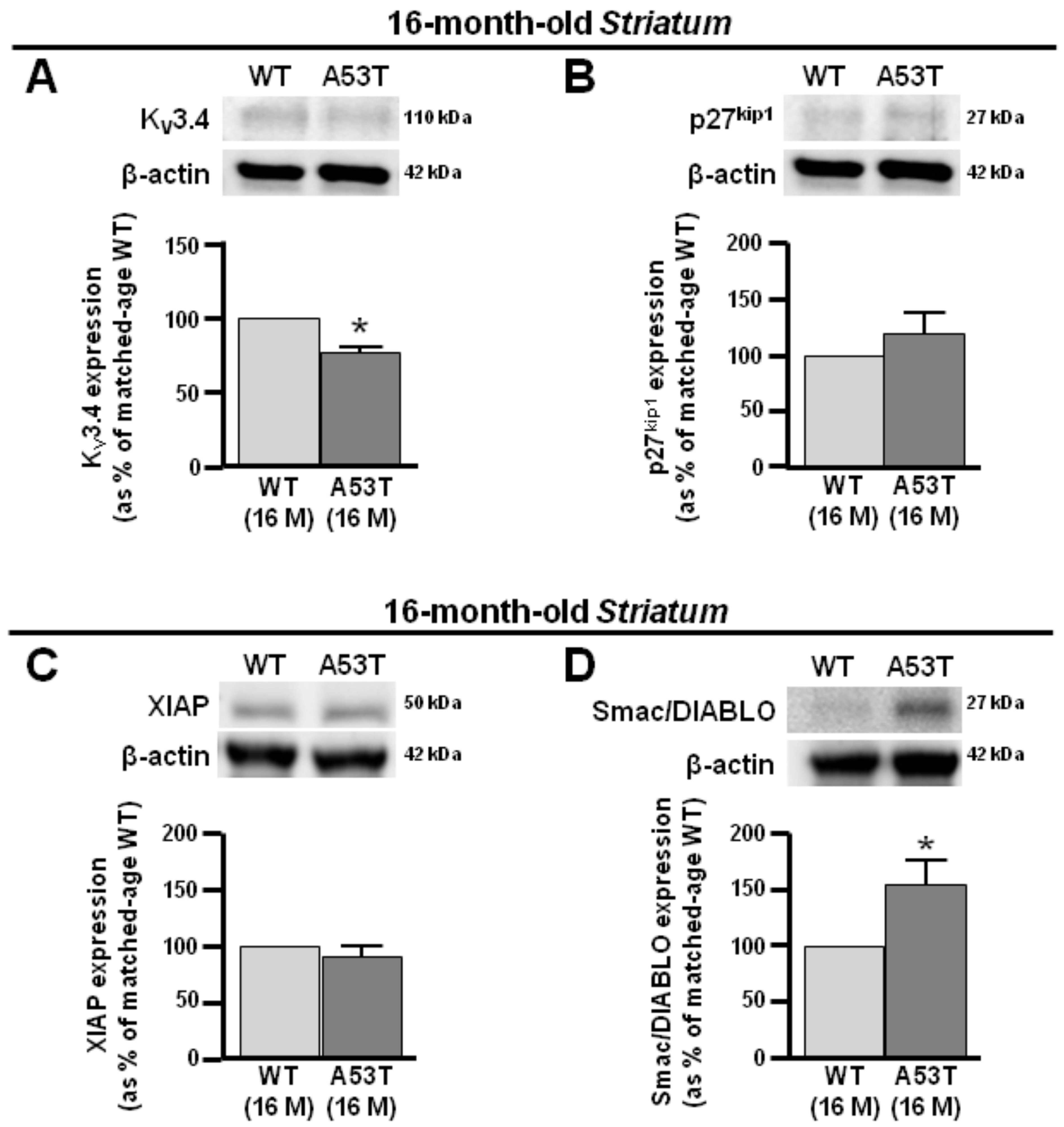 Antioxidants 13 00999 g004 Antioxidants 13 00999 g004