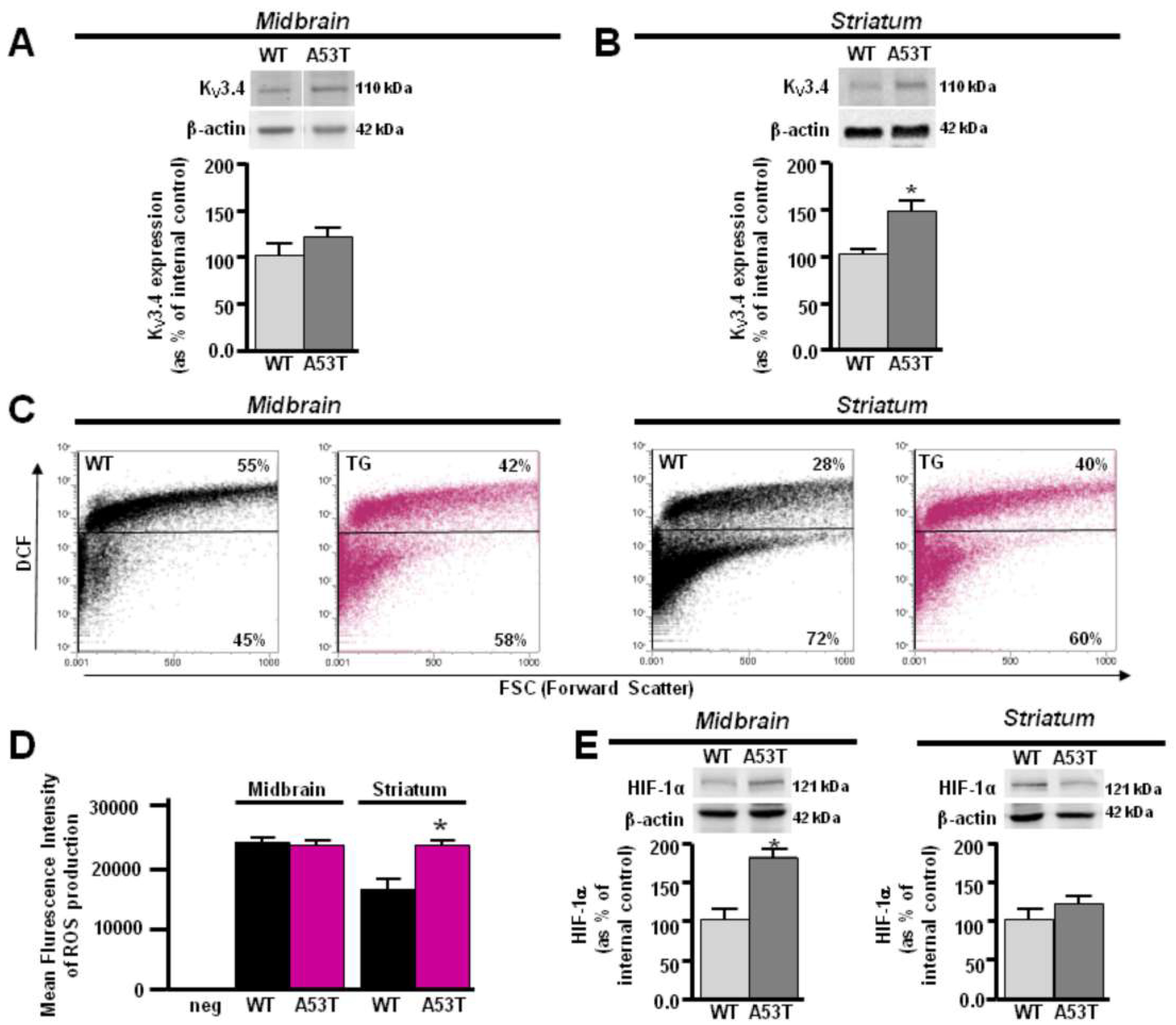 Antioxidants 13 00999 g005 Antioxidants 13 00999 g005