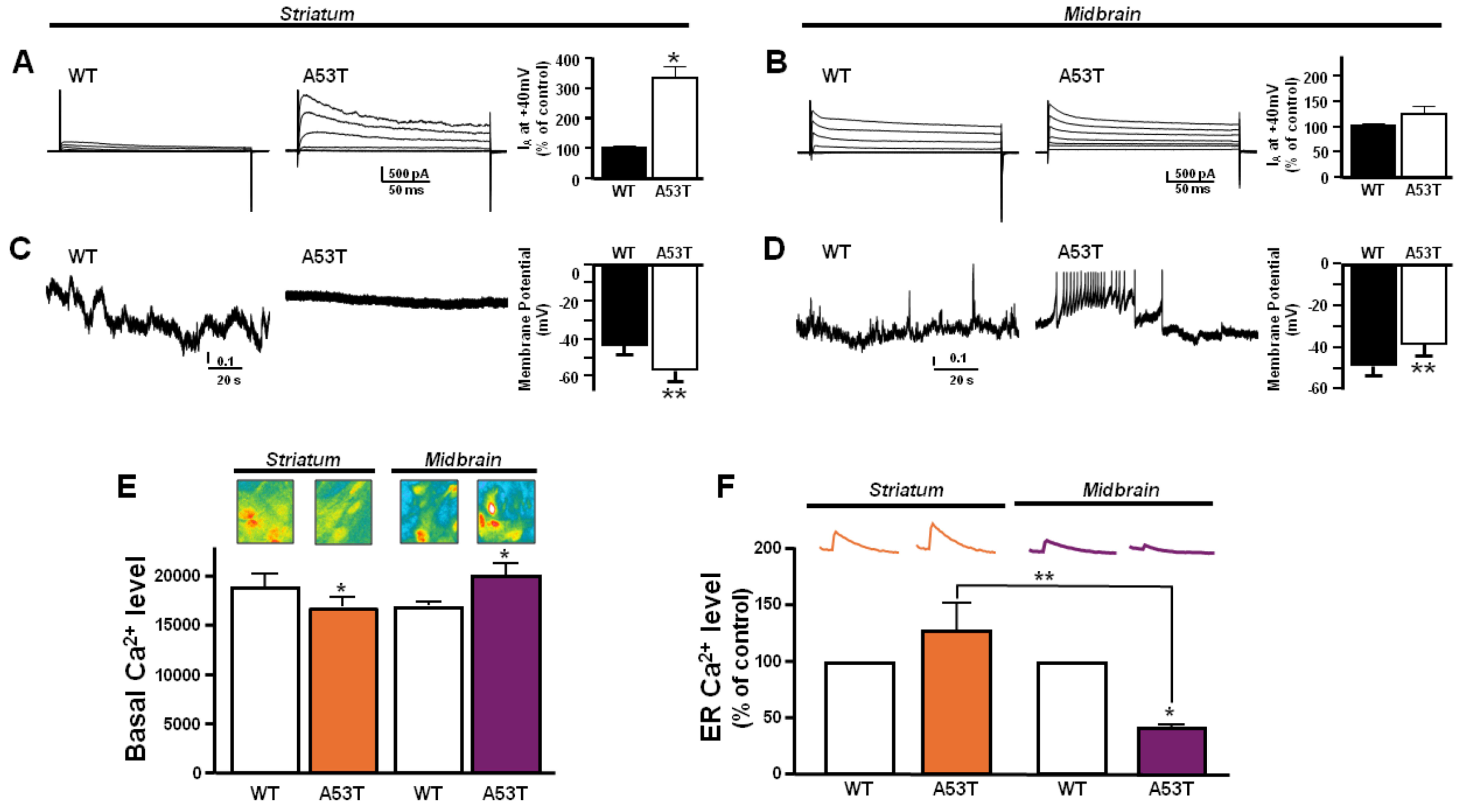 Antioxidants 13 00999 g006 Antioxidants 13 00999 g006