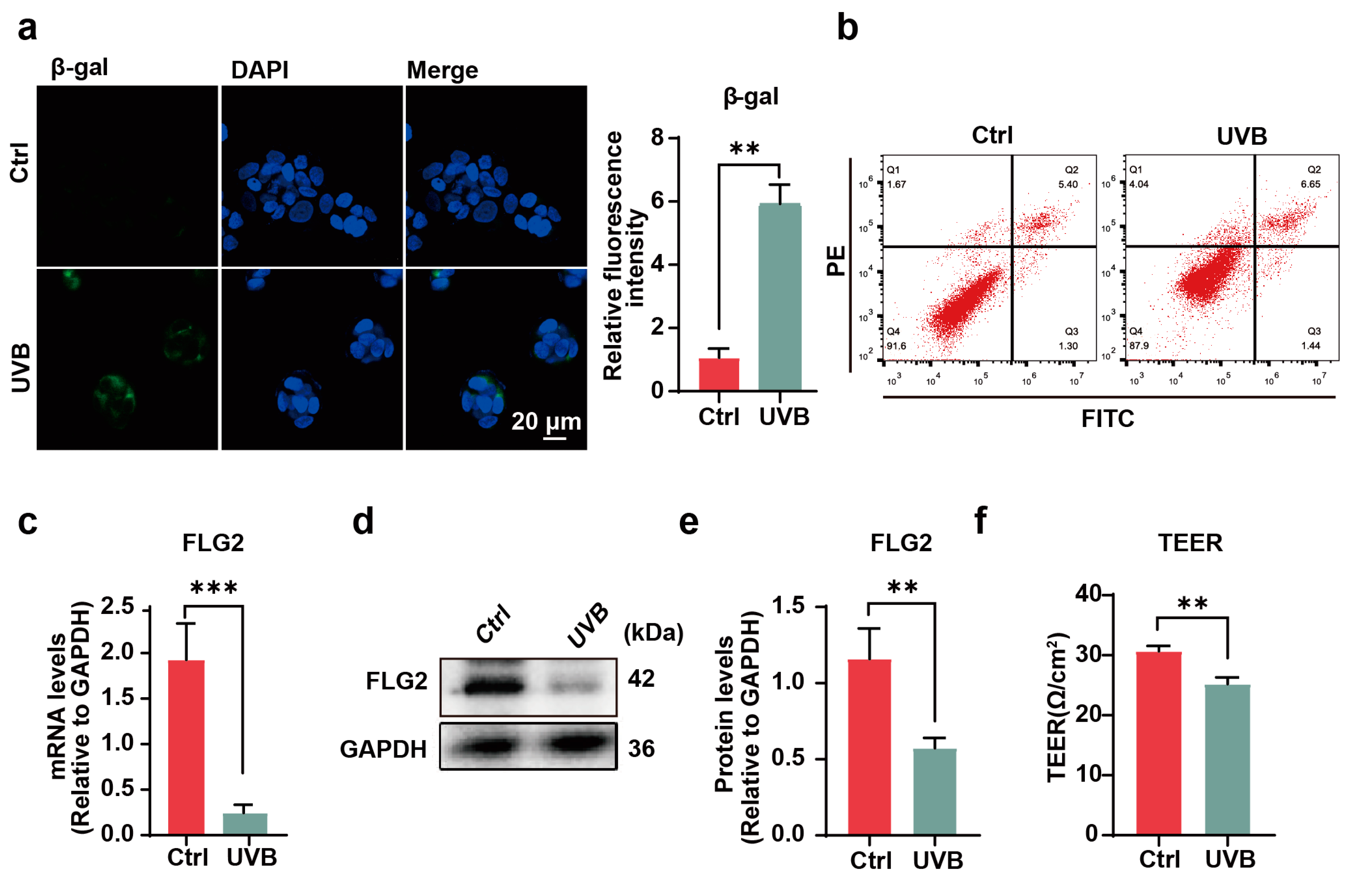 Antioxidants 13 01002 g001