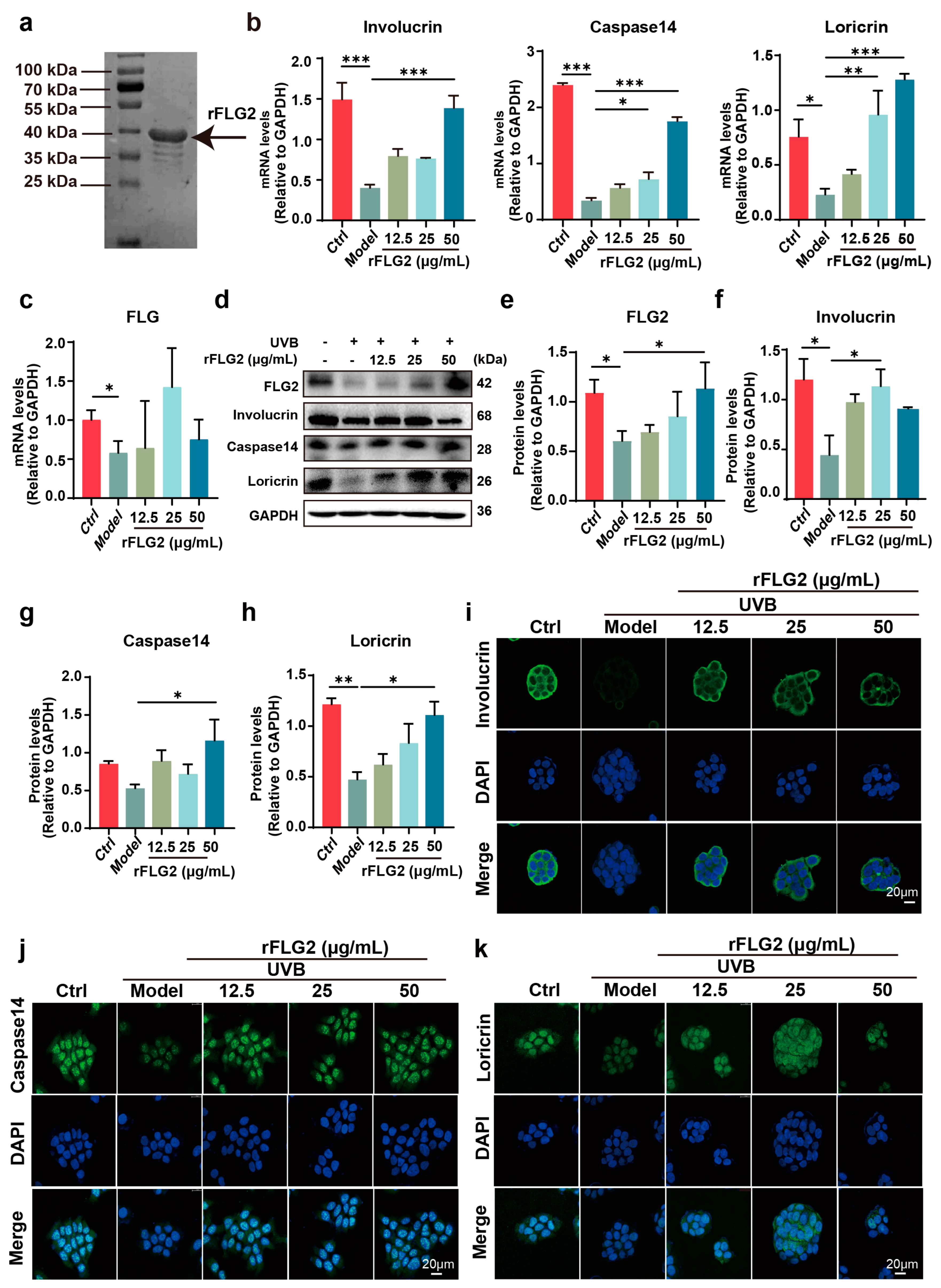 Antioxidants 13 01002 g002