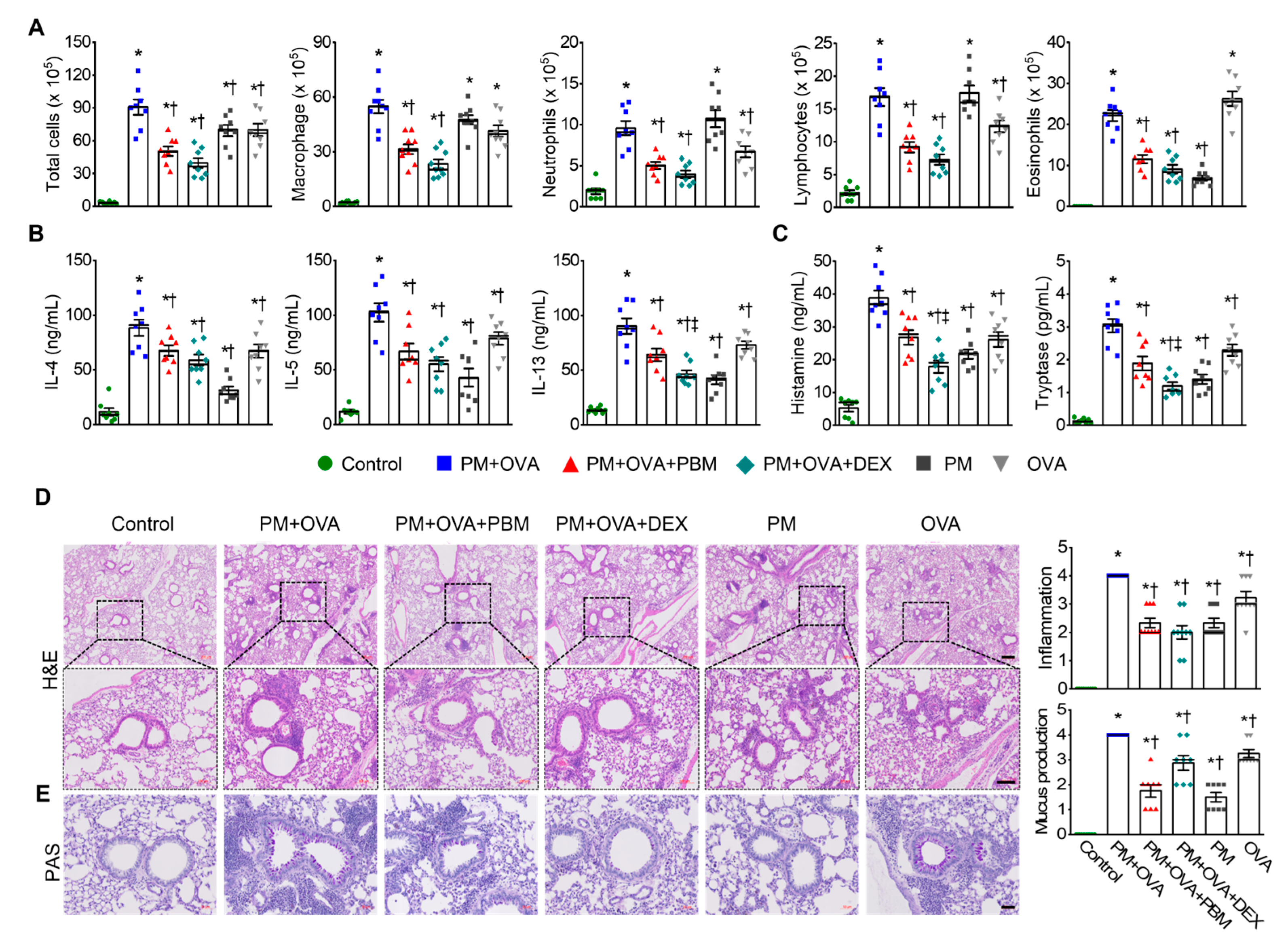 Antioxidants 13 01003 g002 Antioxidants 13 01003 g002