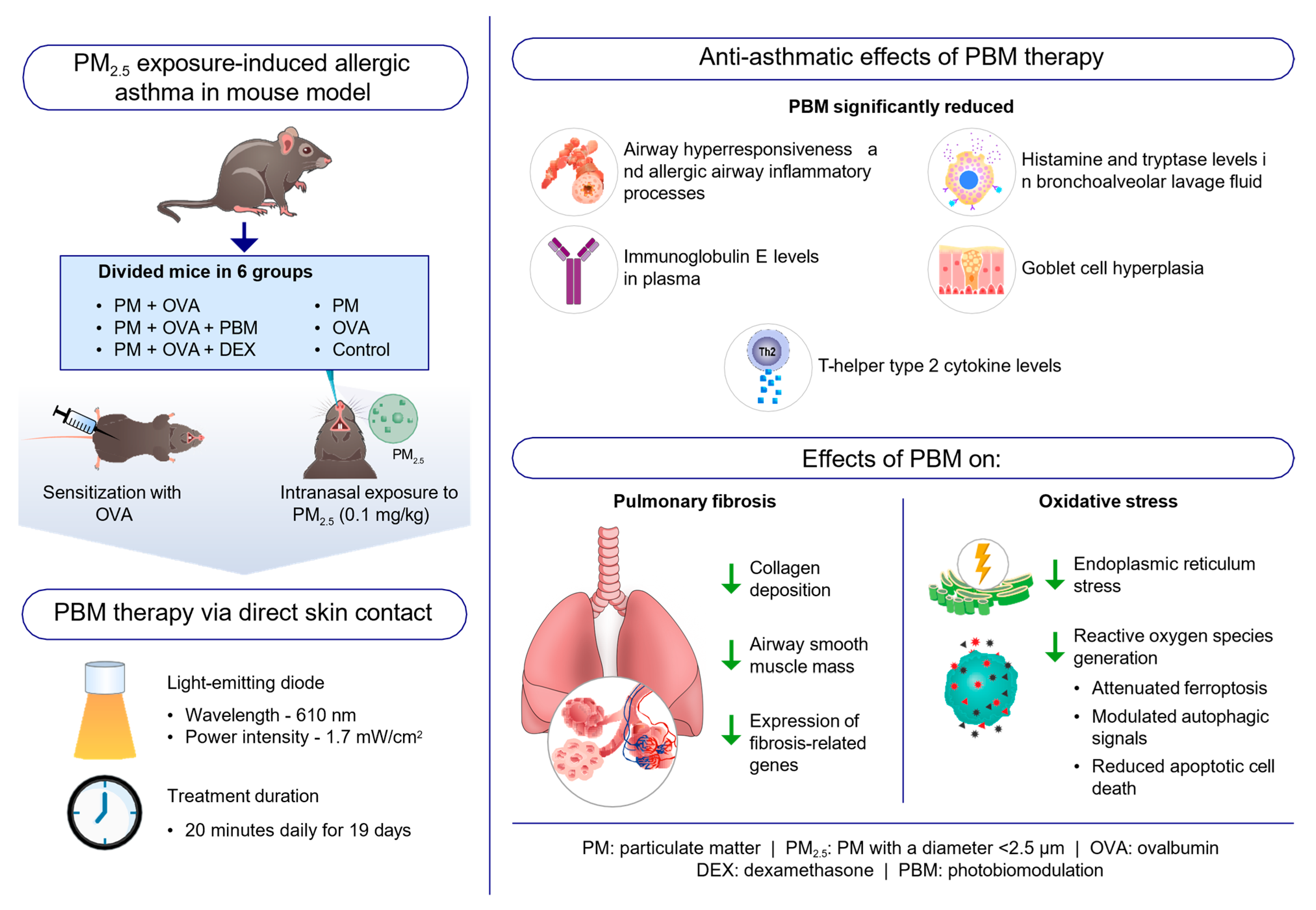 Antioxidants 13 01003 g007 Antioxidants 13 01003 g007
