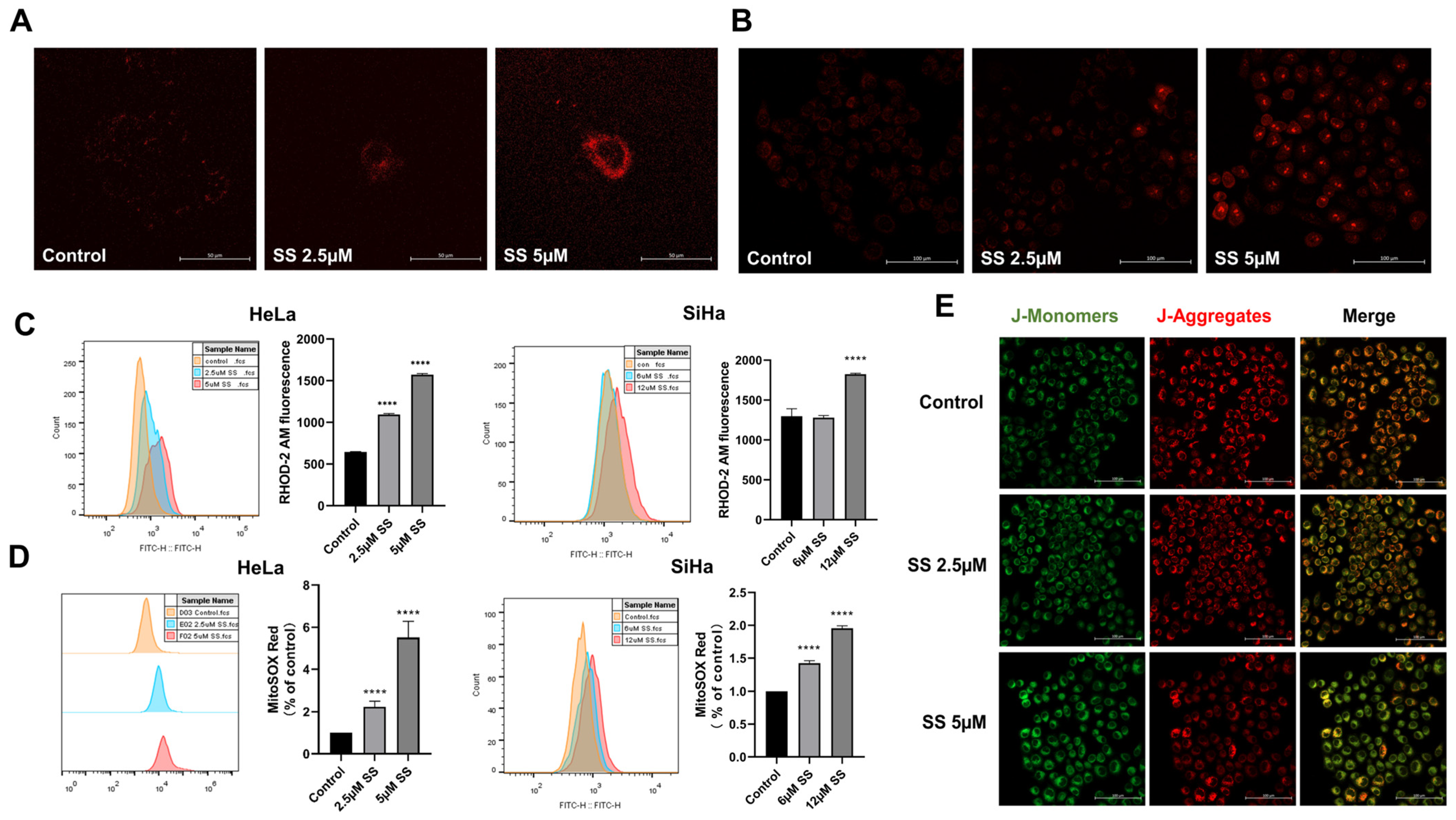 Antioxidants 13 01004 g005