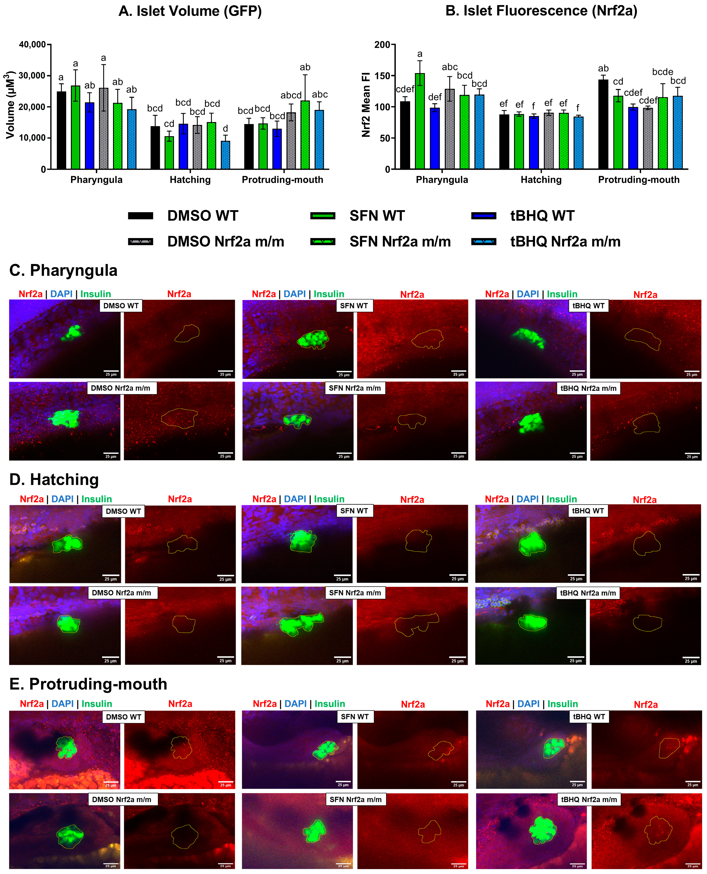 Antioxidants 13 01006 g002
