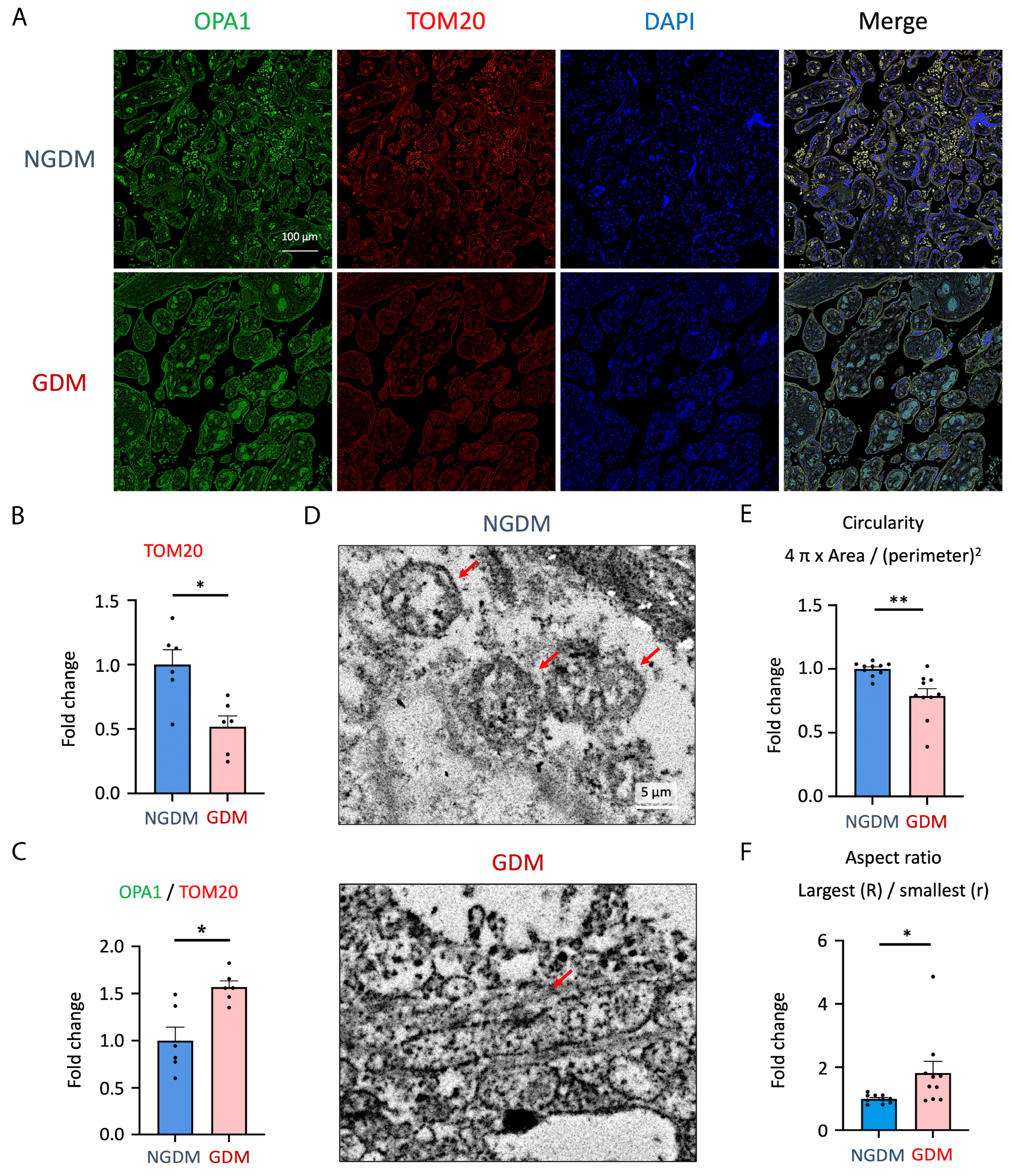 Antioxidants 13 01007 g002