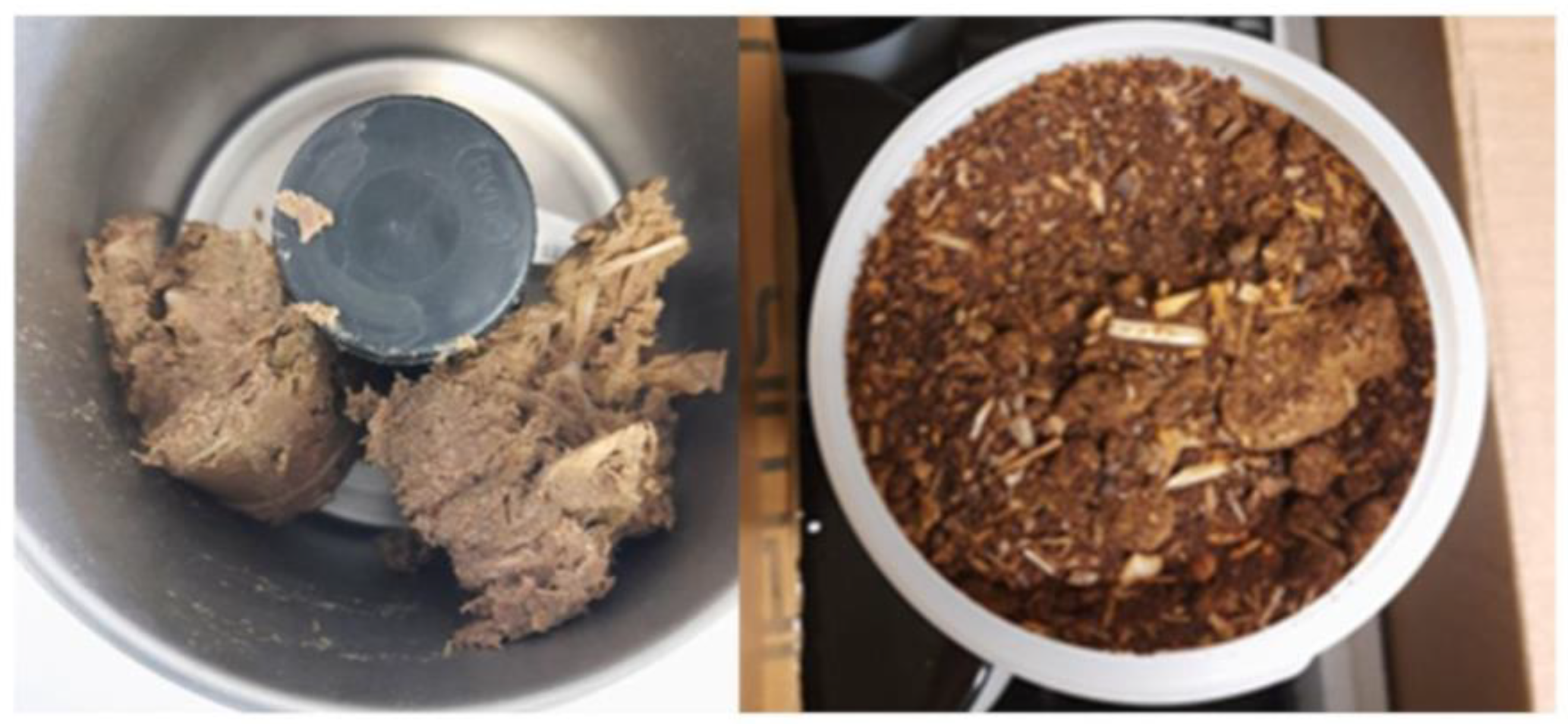 Antioxidants 13 01011 g001