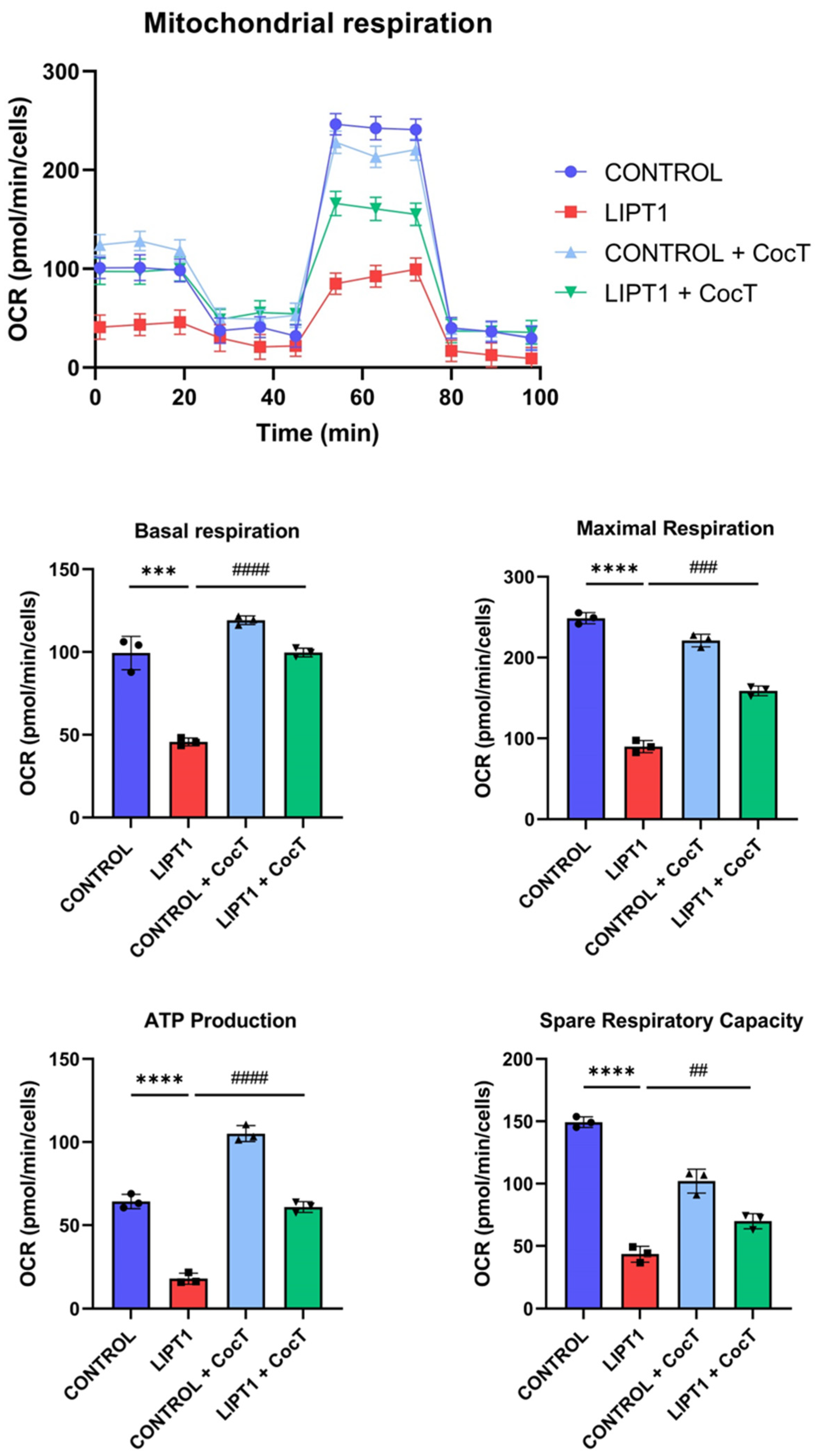 Antioxidants 13 01023 g010