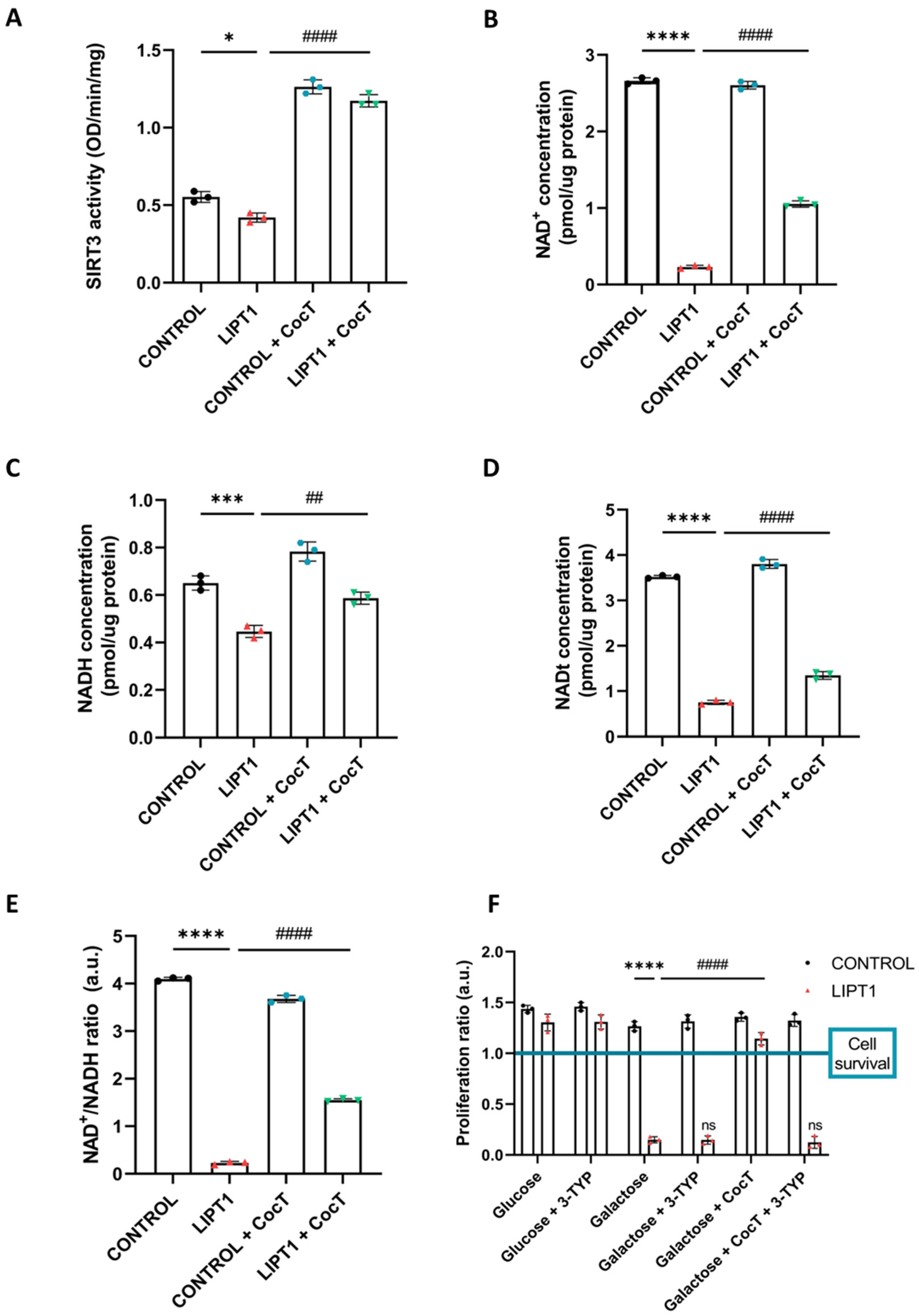 Antioxidants 13 01023 g015