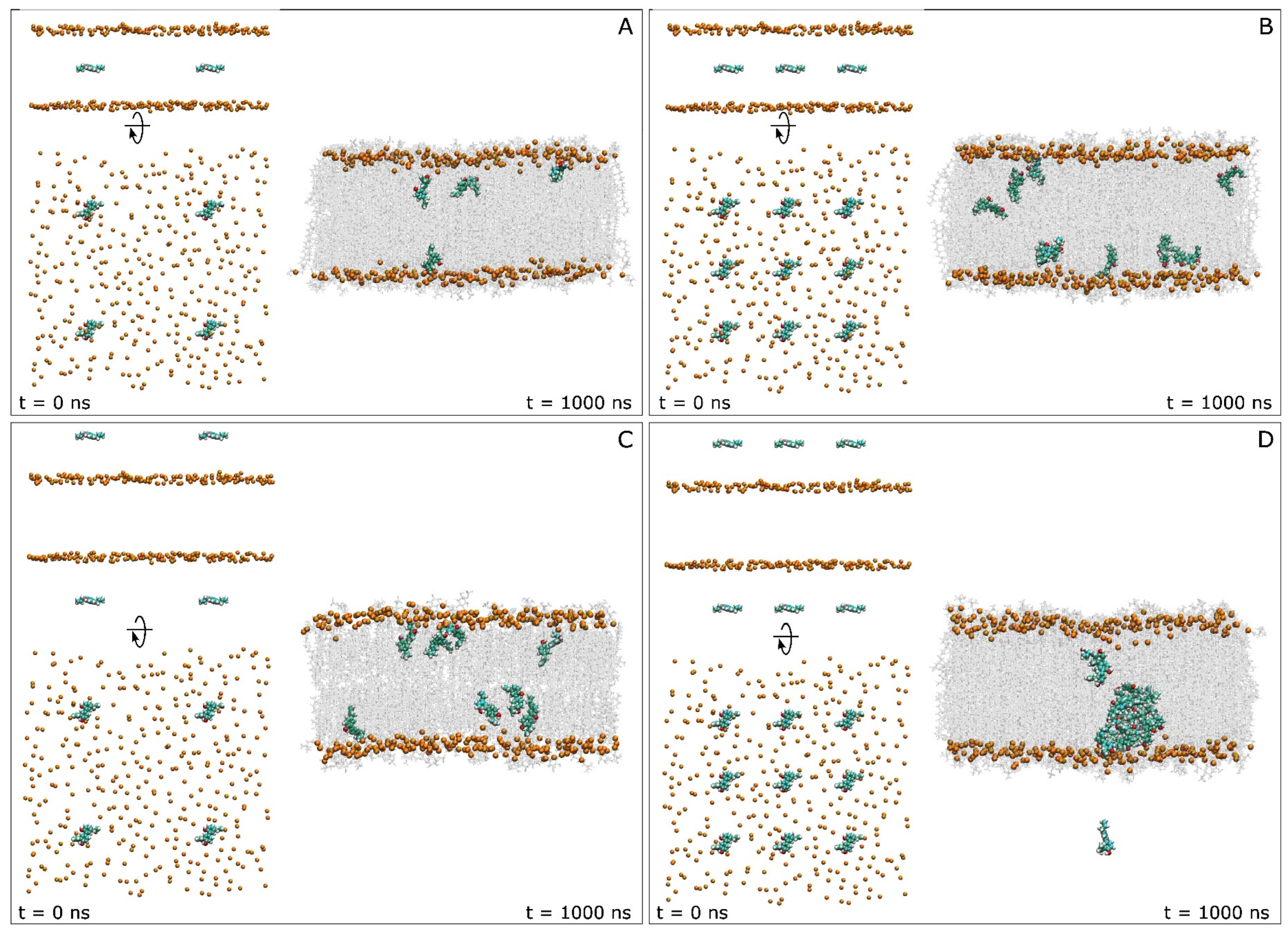 Antioxidants 13 01025 g002